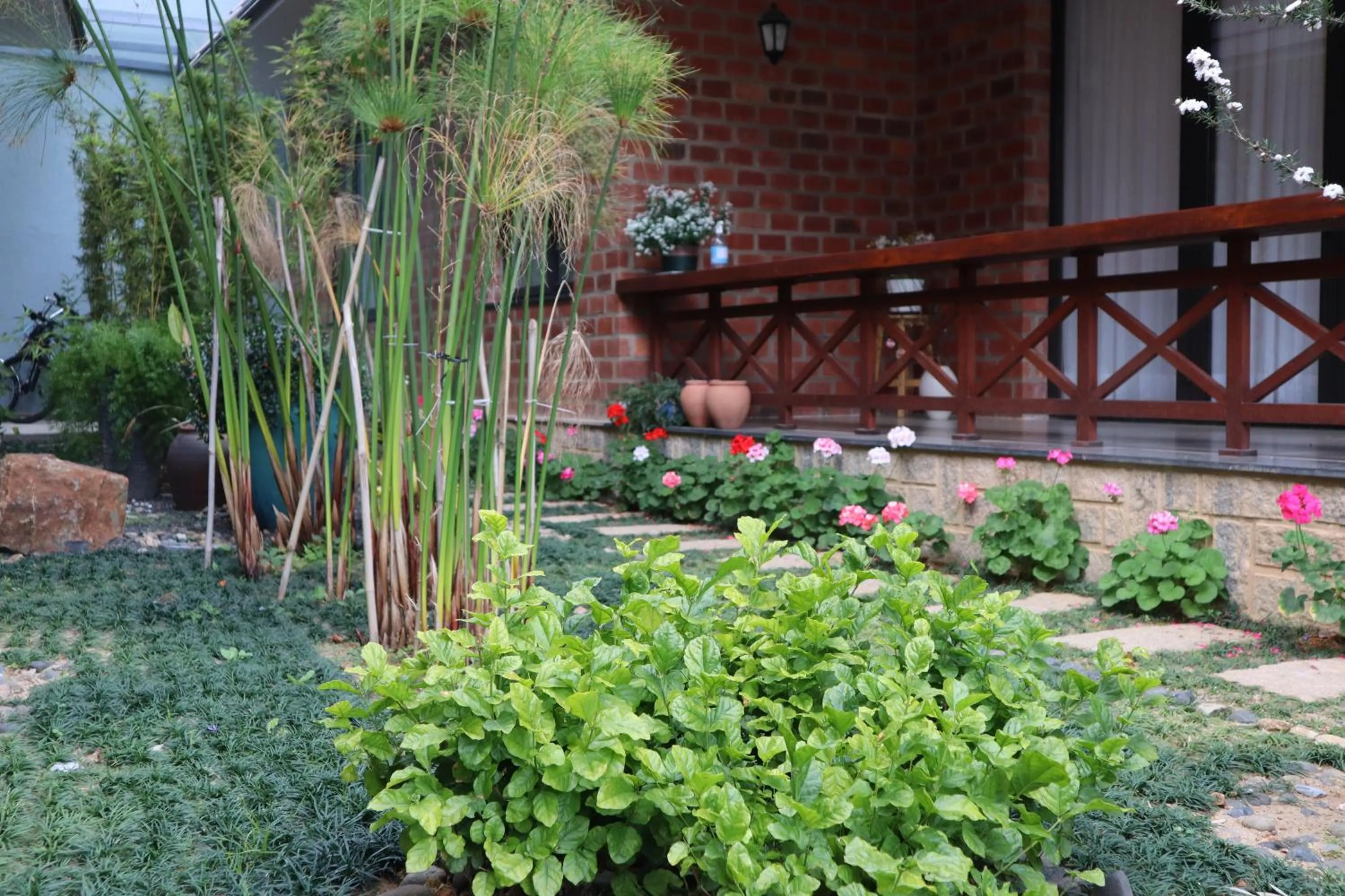 Spring in Hoang Loc Villa