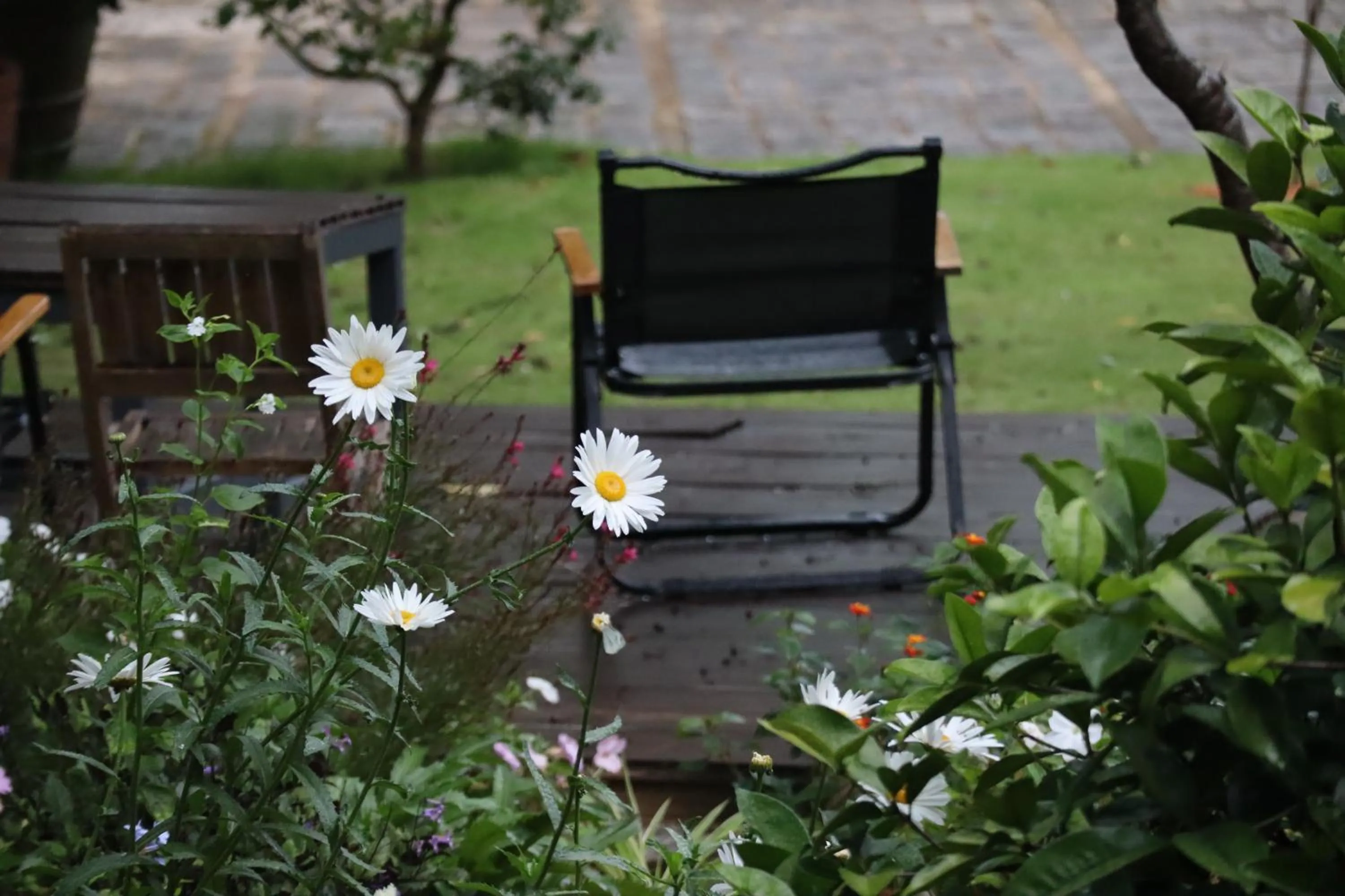 Spring in Hoang Loc Villa