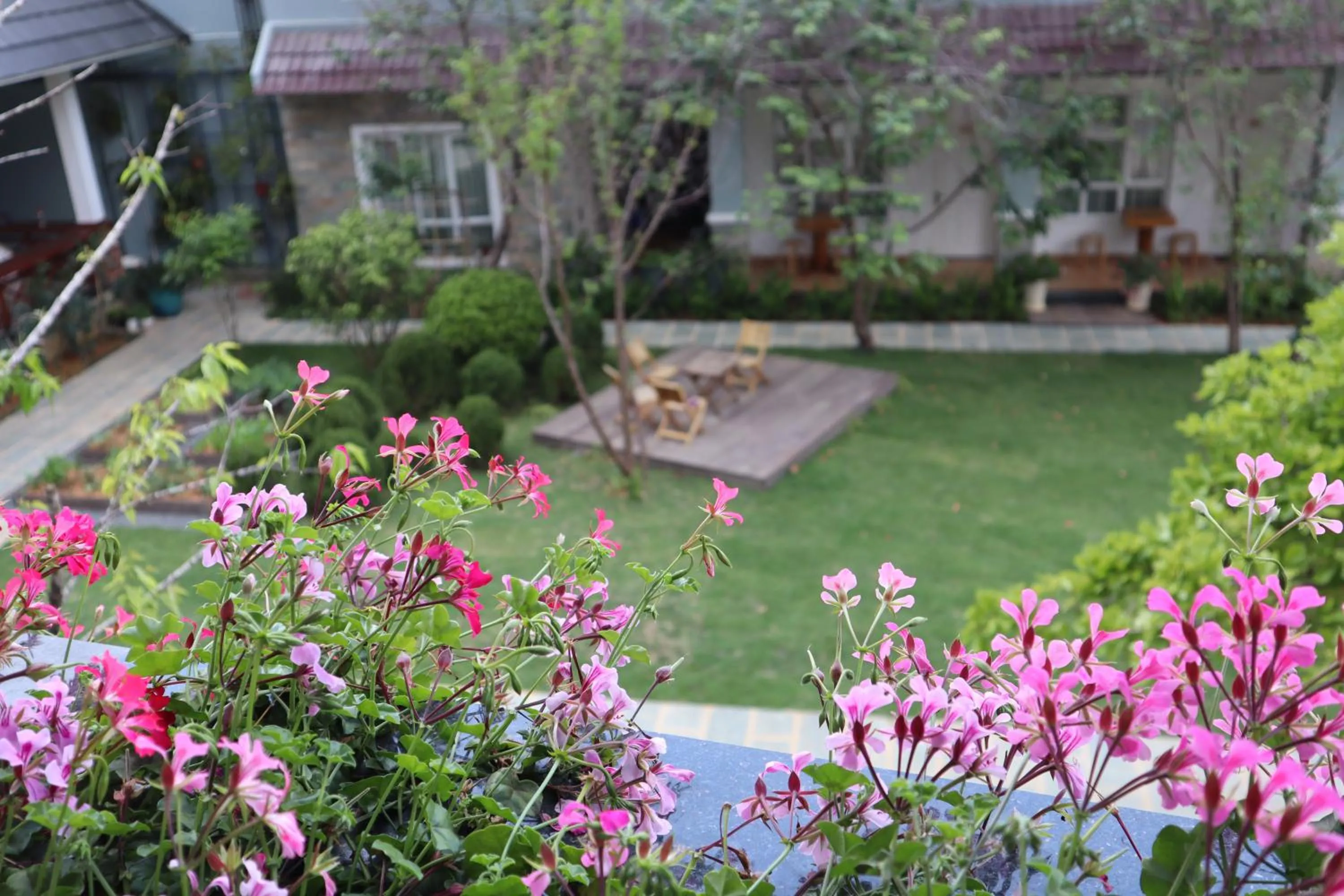 Garden in Hoang Loc Villa