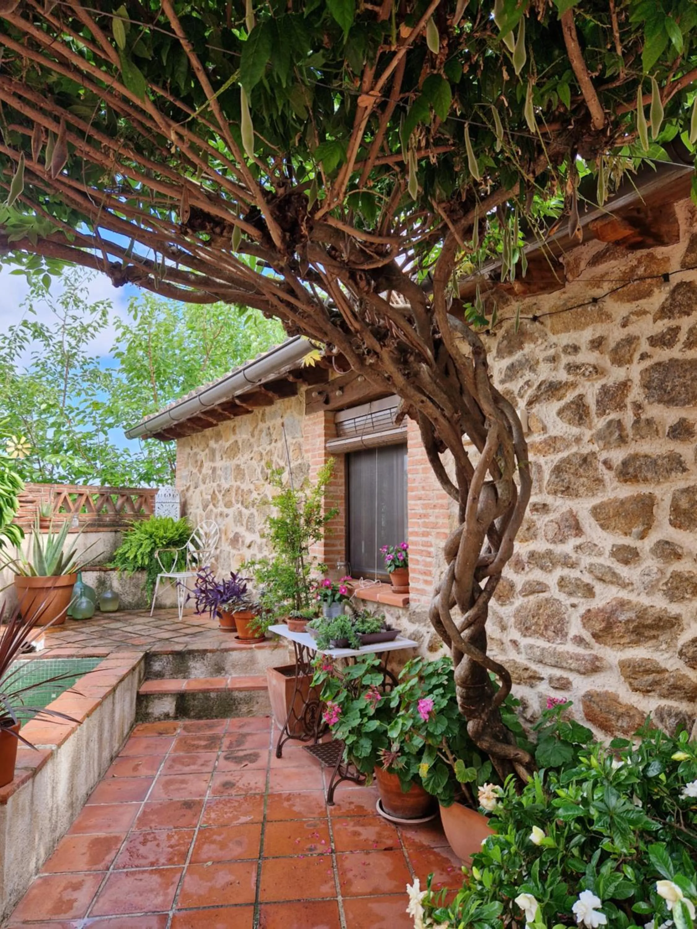 Patio in El Atalanto