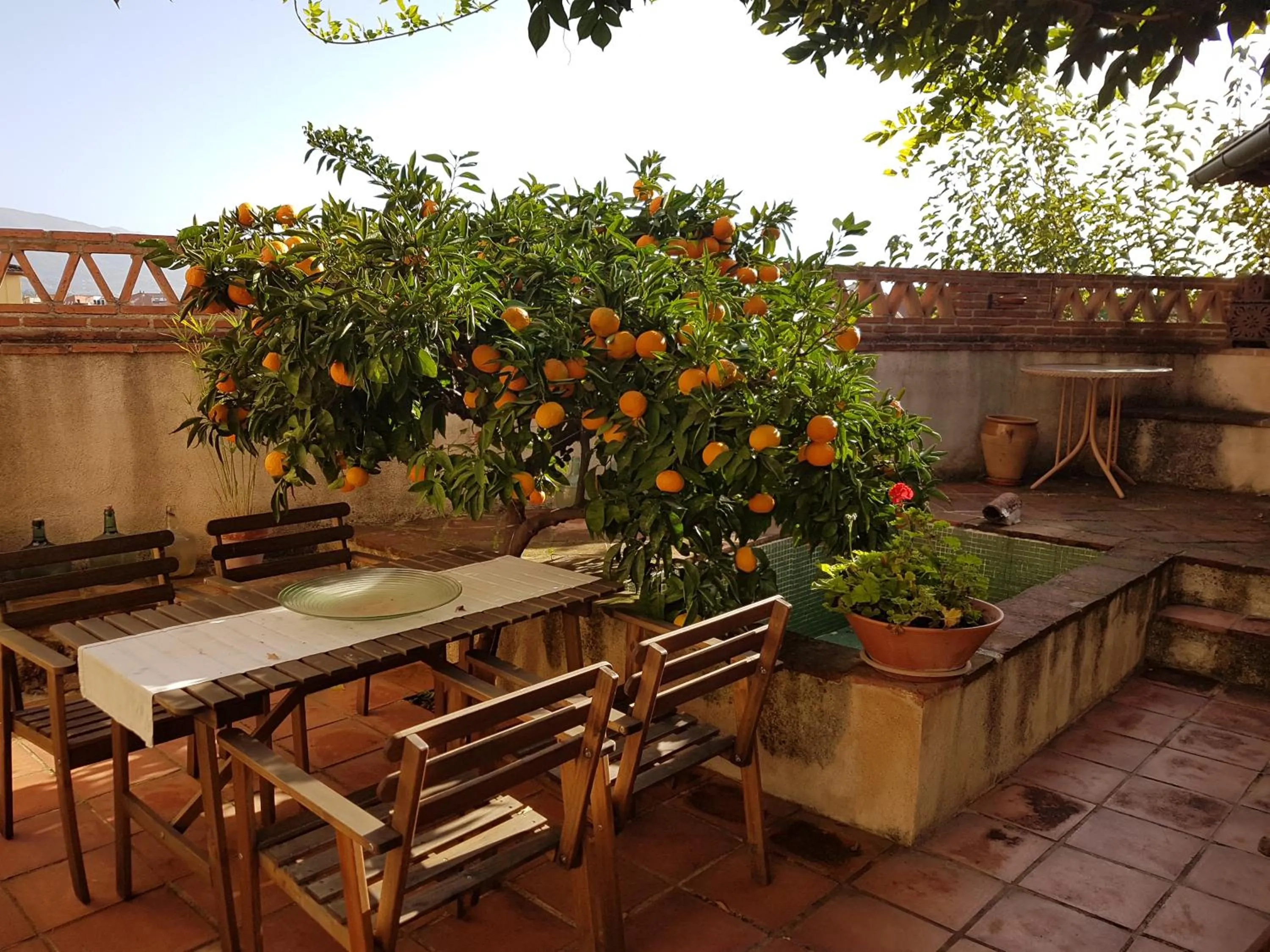 Patio in El Atalanto