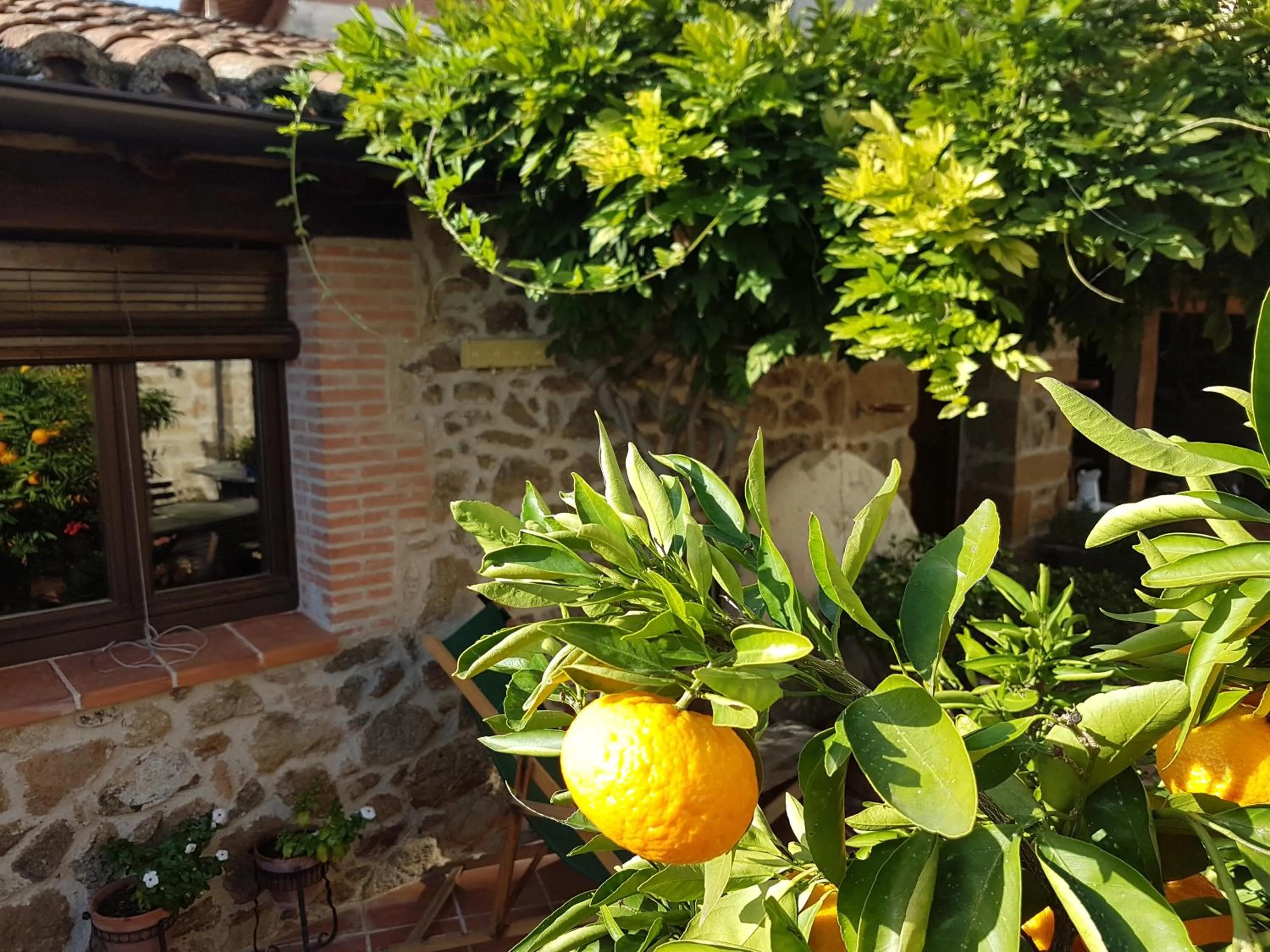 Garden in El Atalanto