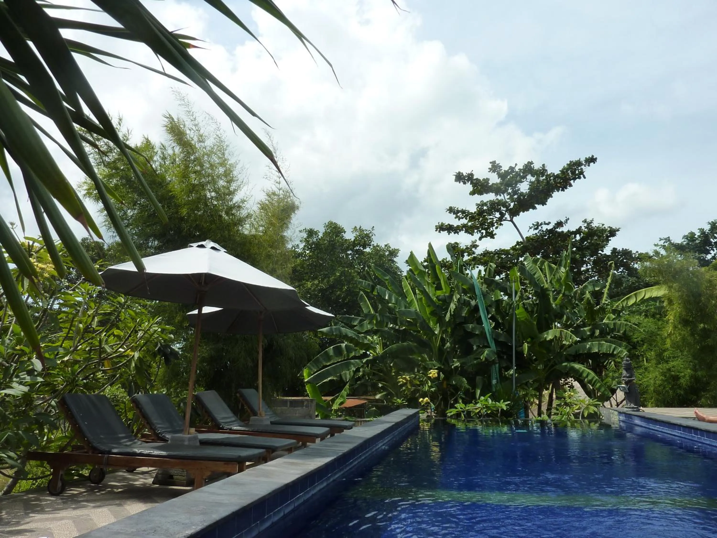 Swimming pool in Perdana Homestay Lembongan