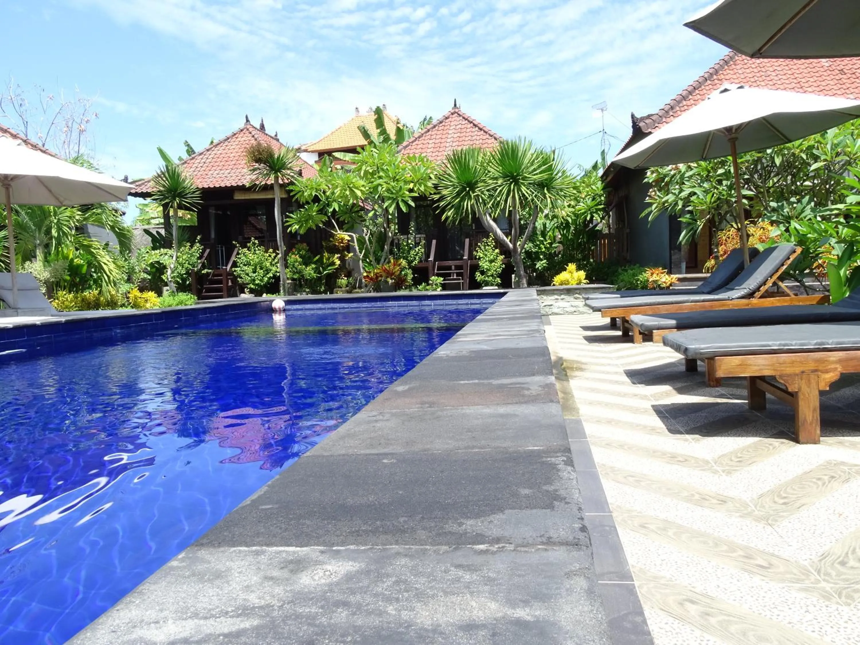 Swimming pool in Perdana Homestay Lembongan