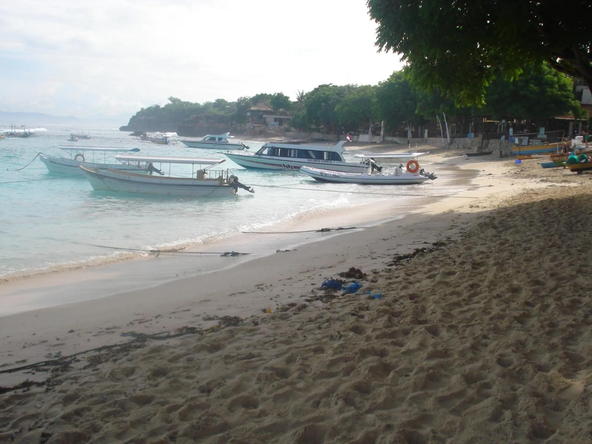 Beach in Perdana Homestay Lembongan