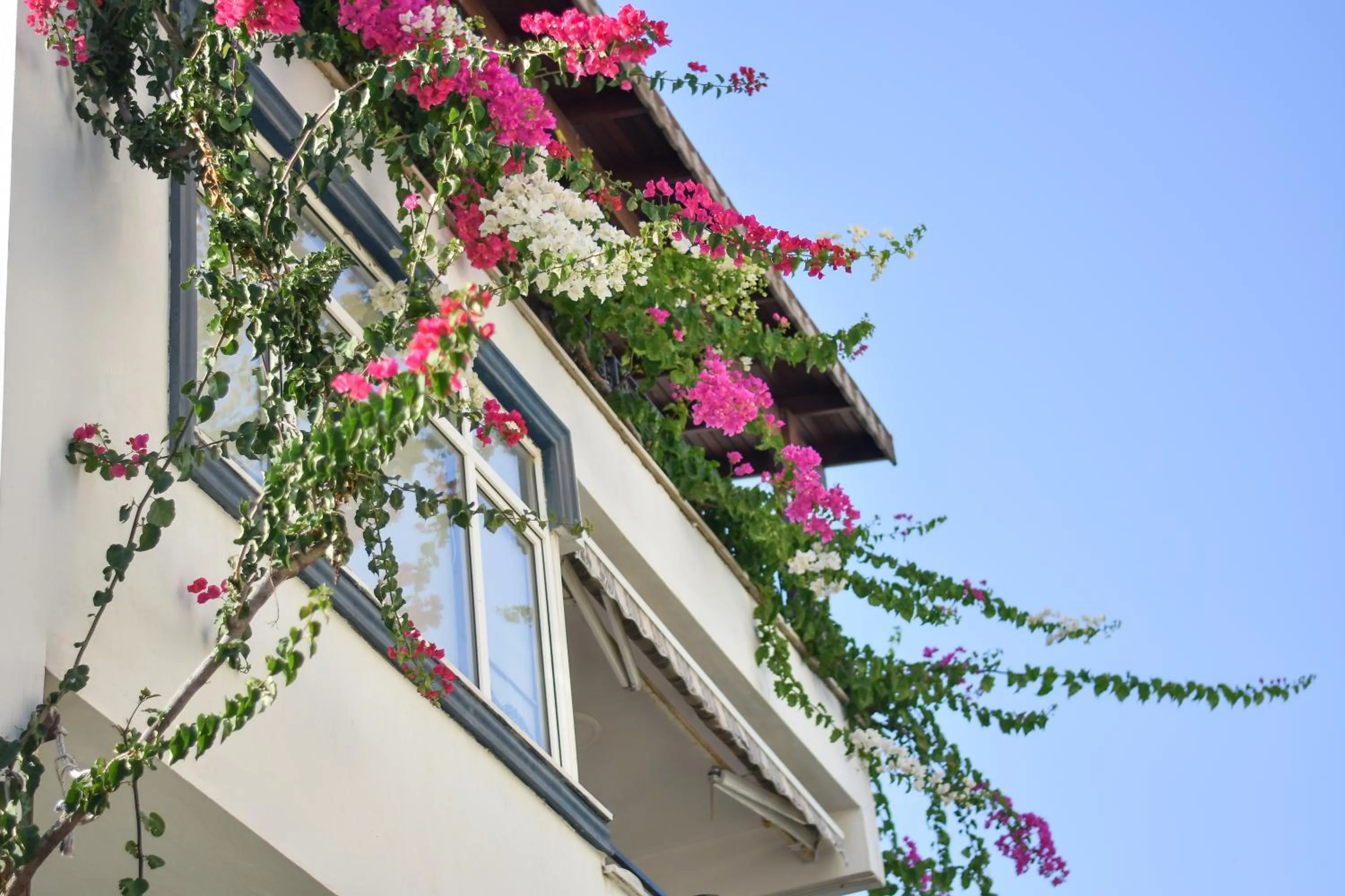 Balcony/Terrace in Kaya Apart Datca