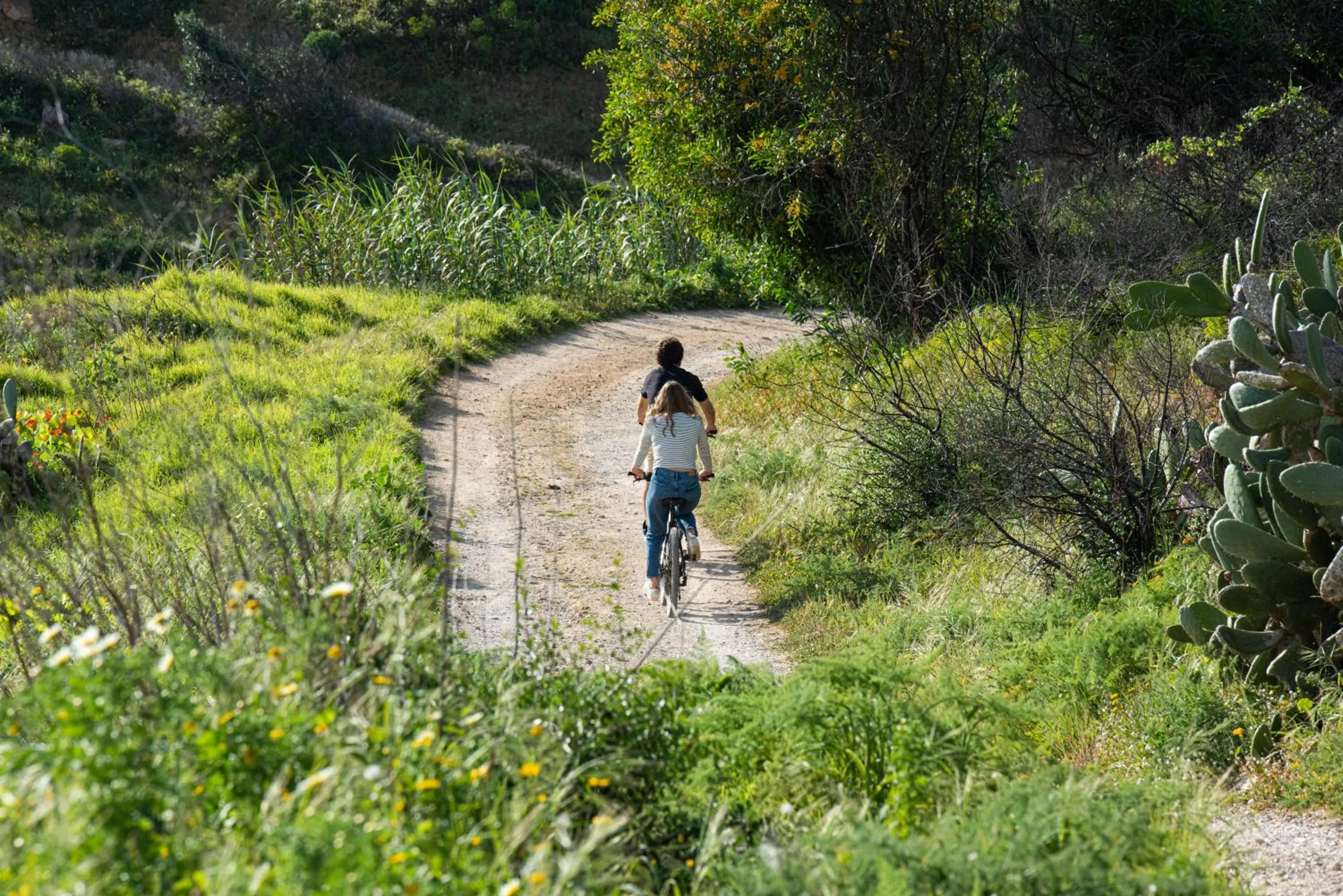 Cycling in Moby Dick Lodge Cascais
