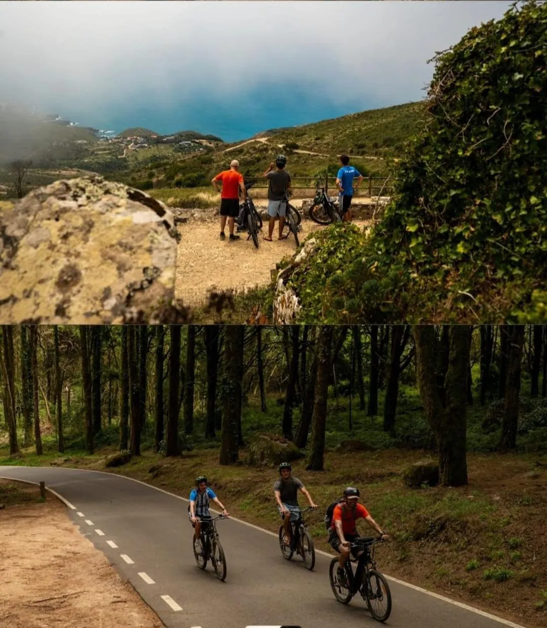 Cycling in Moby Dick Lodge Cascais