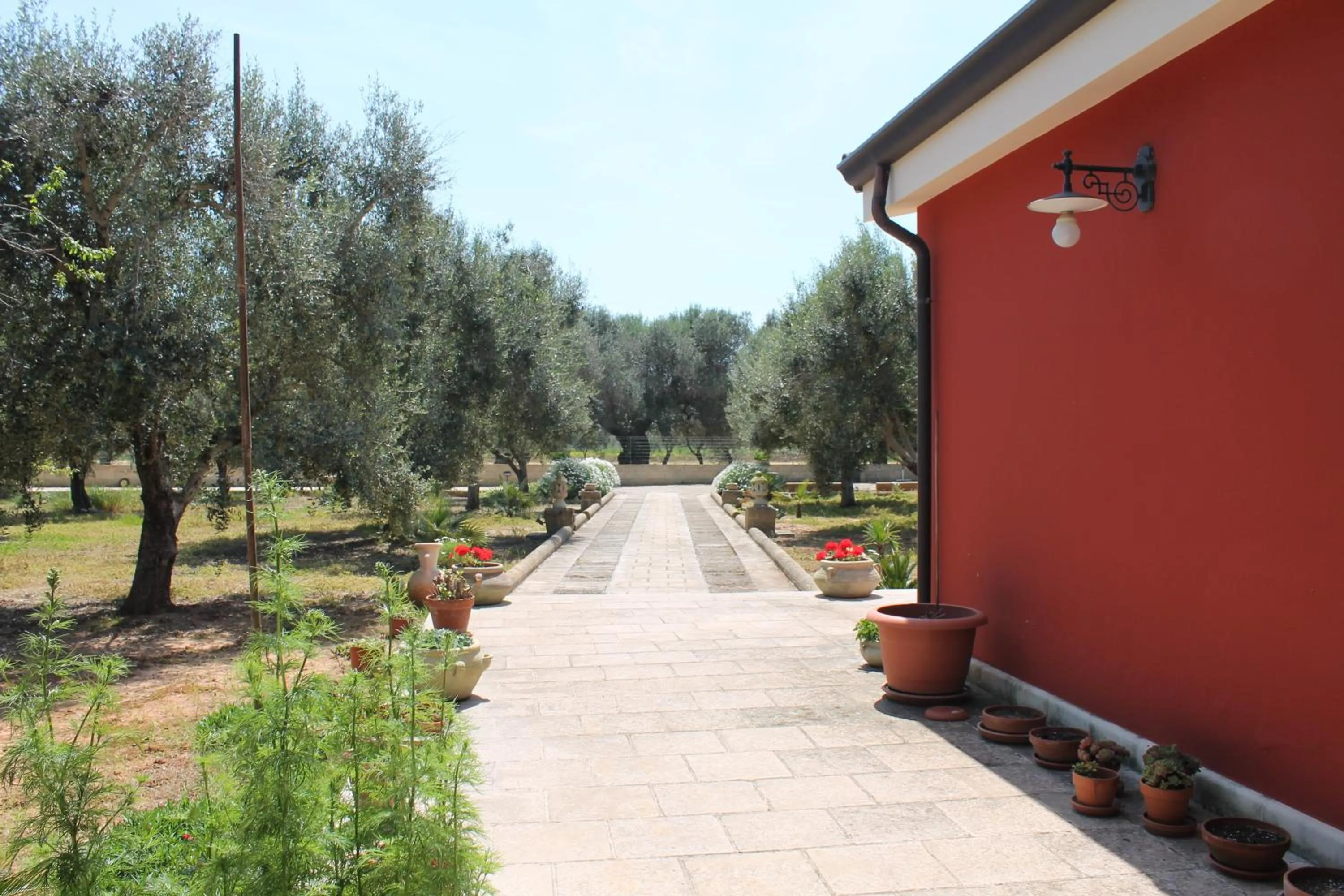 Natural landscape in B&b Elda Salento