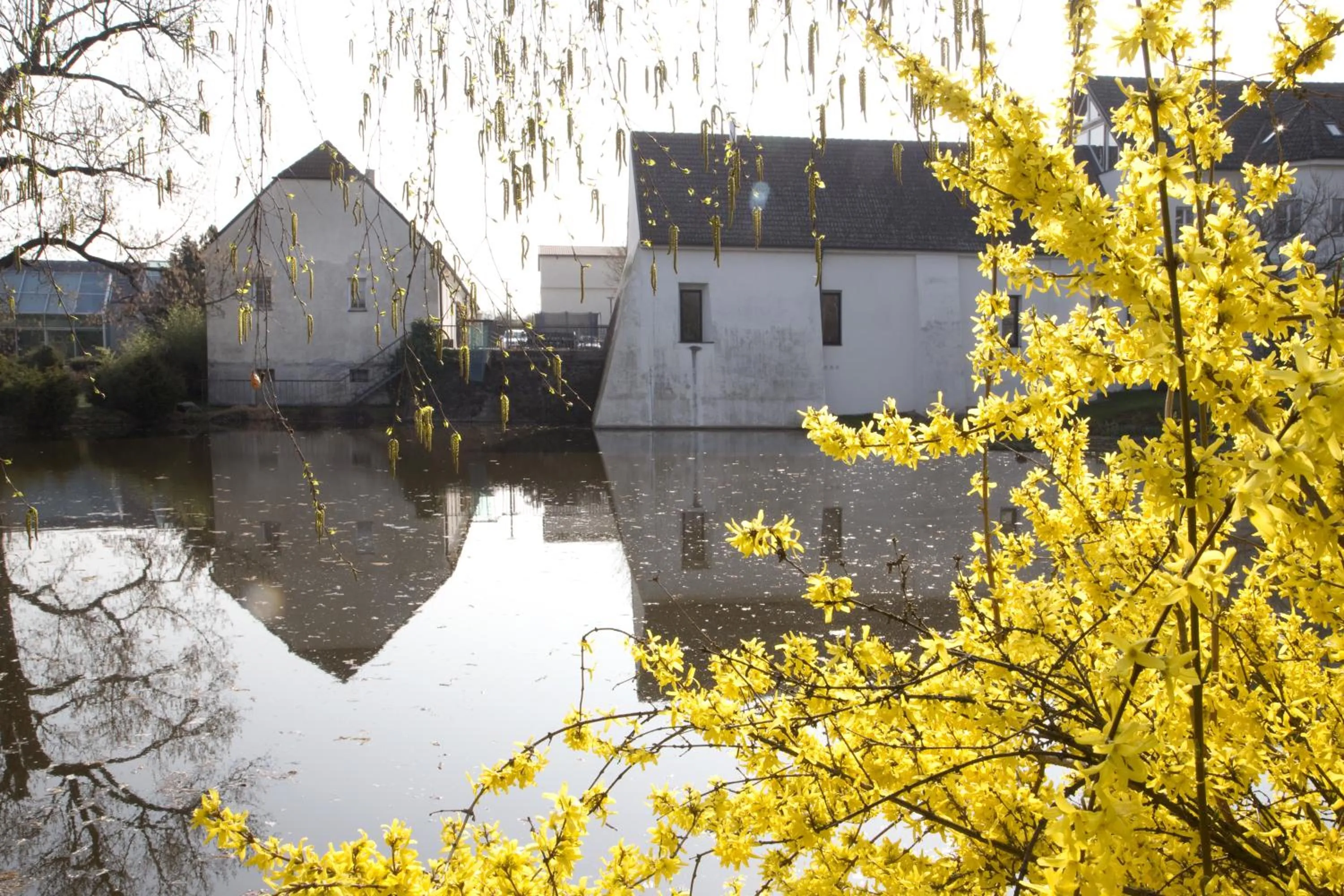 Property building in Yard Resort