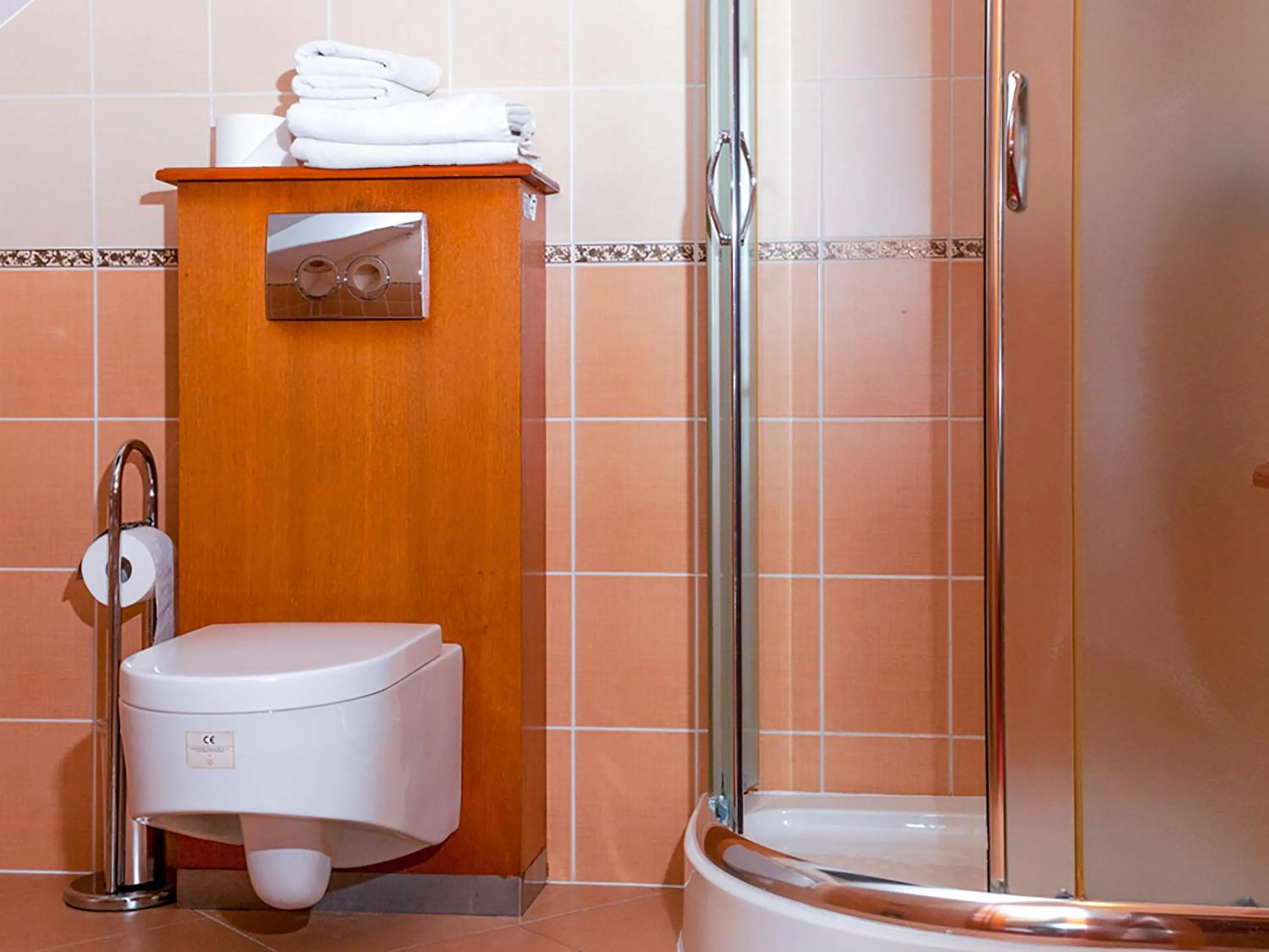 Toilet in Hotel Korona