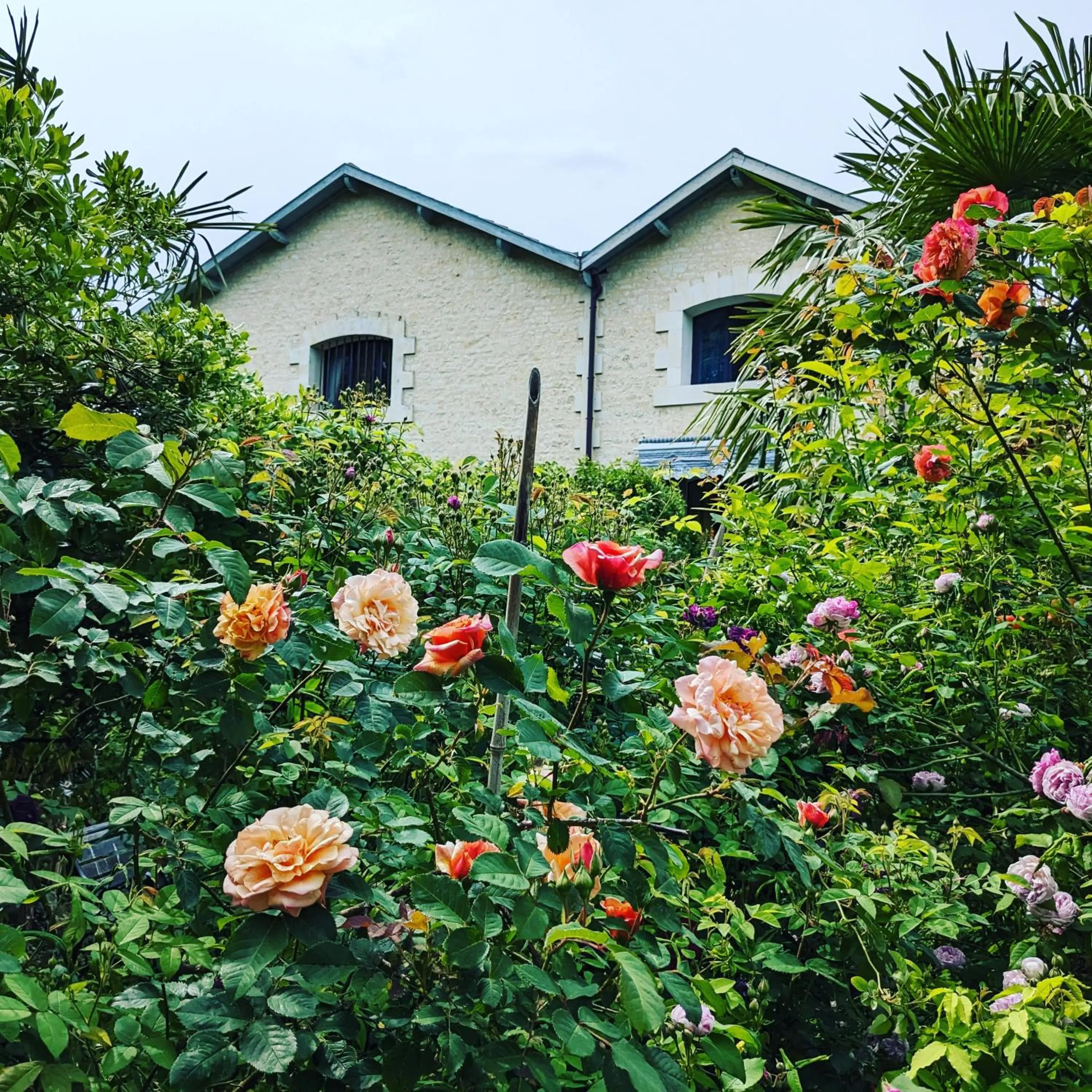 Property building in Chambre d'Hôtes La Grenade Bleue