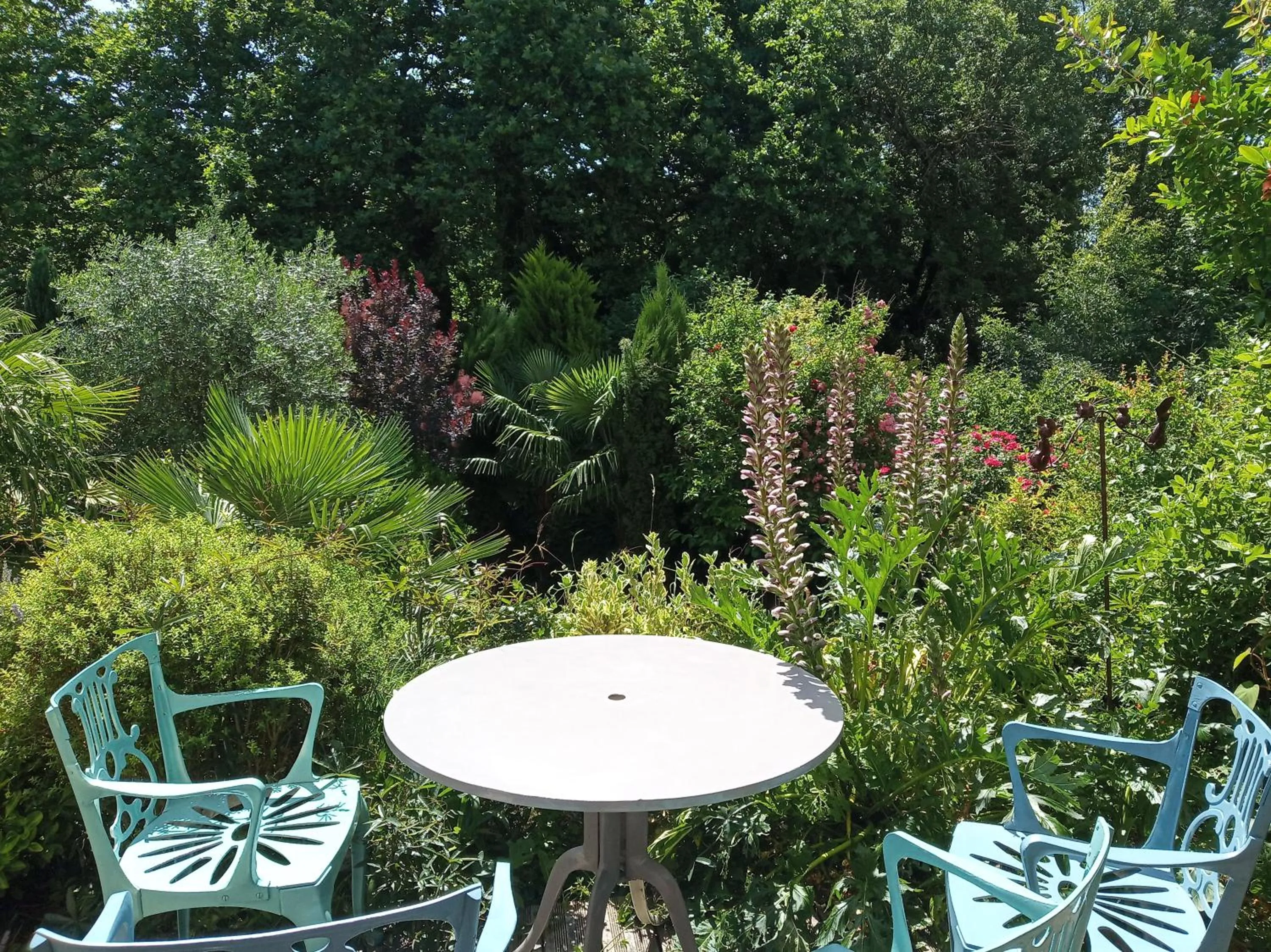 Garden view in Chambre d'Hôtes La Grenade Bleue