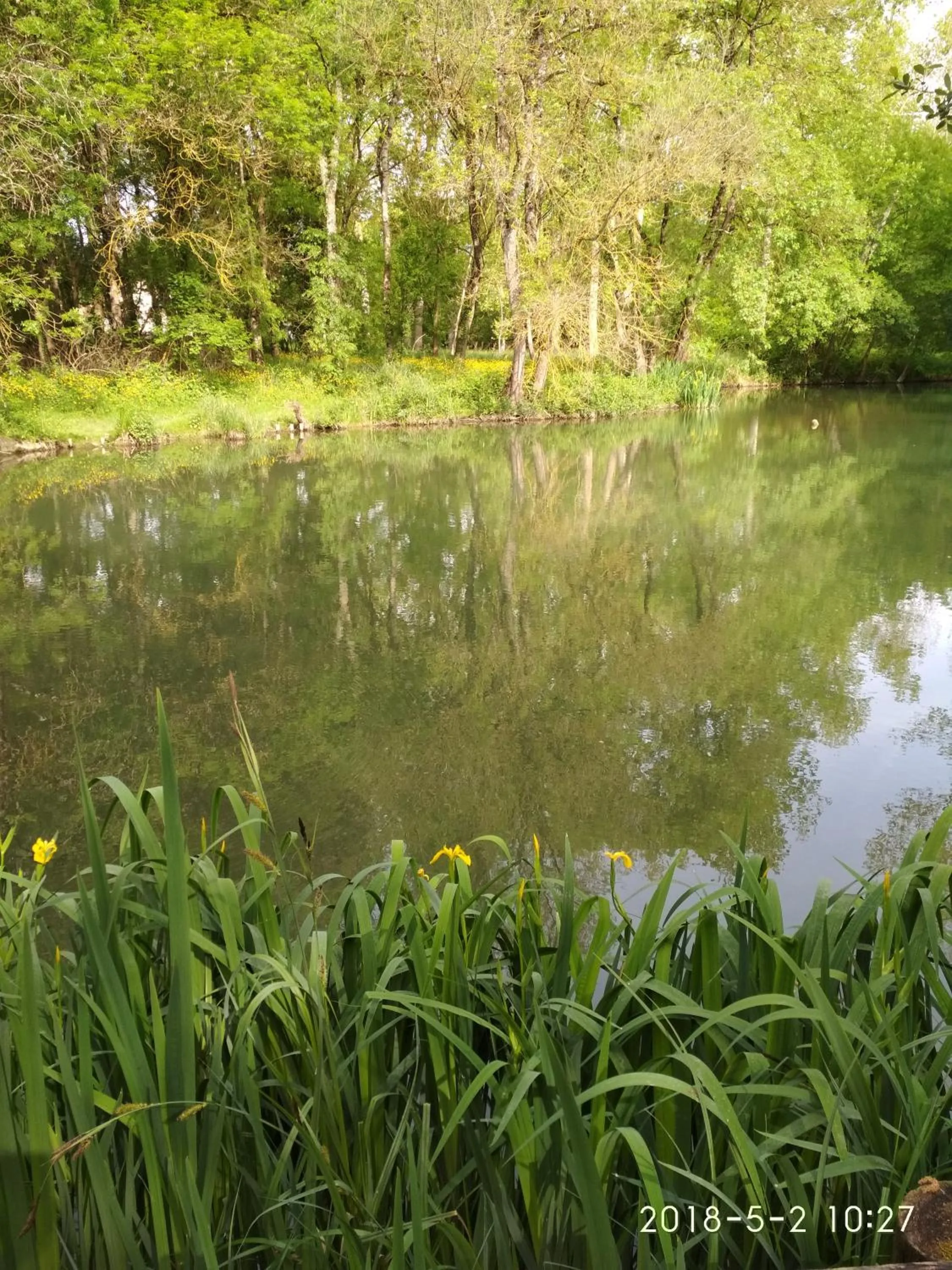 Natural landscape in Chambre d'Hôtes La Grenade Bleue