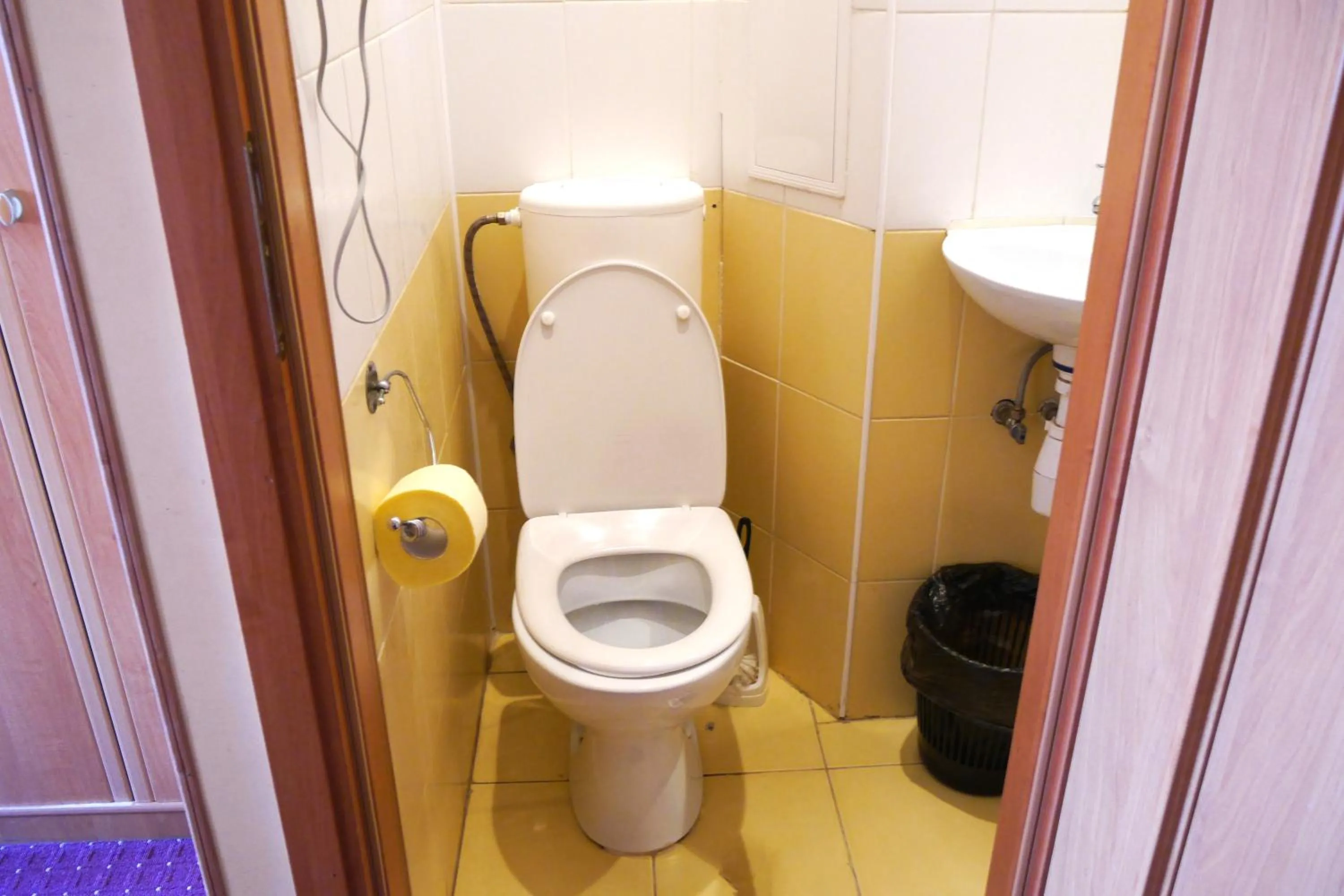Toilet in Malvy hotel