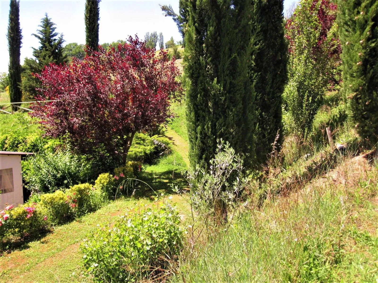 La Pietra Rara B&B