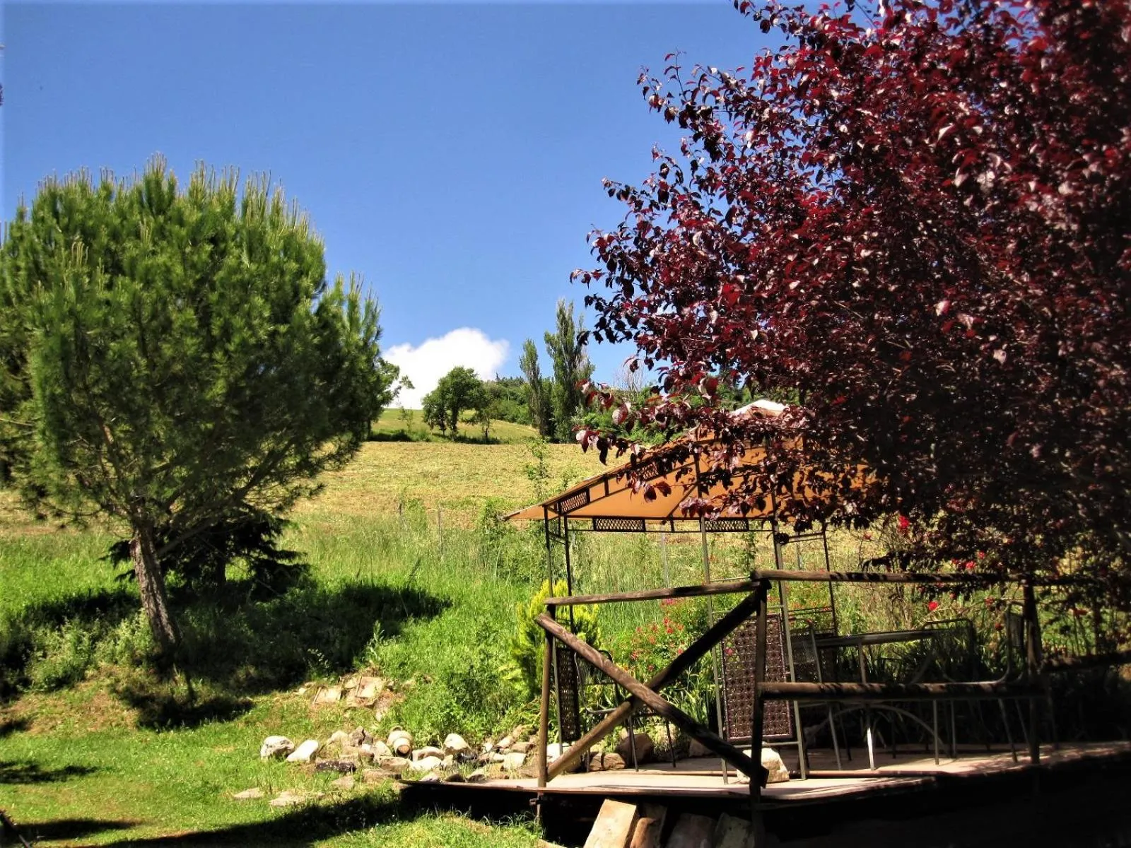 Garden in La Pietra Rara B&B