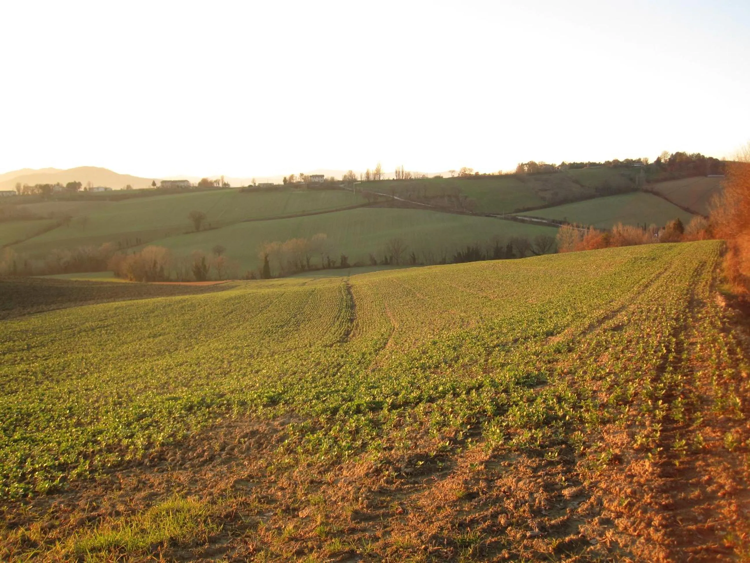 Winter in La Pietra Rara B&B