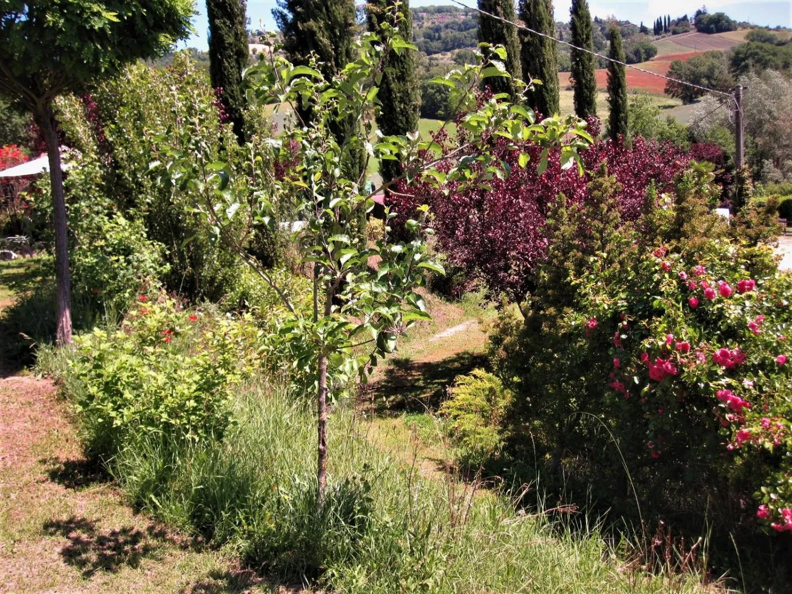 La Pietra Rara B&B