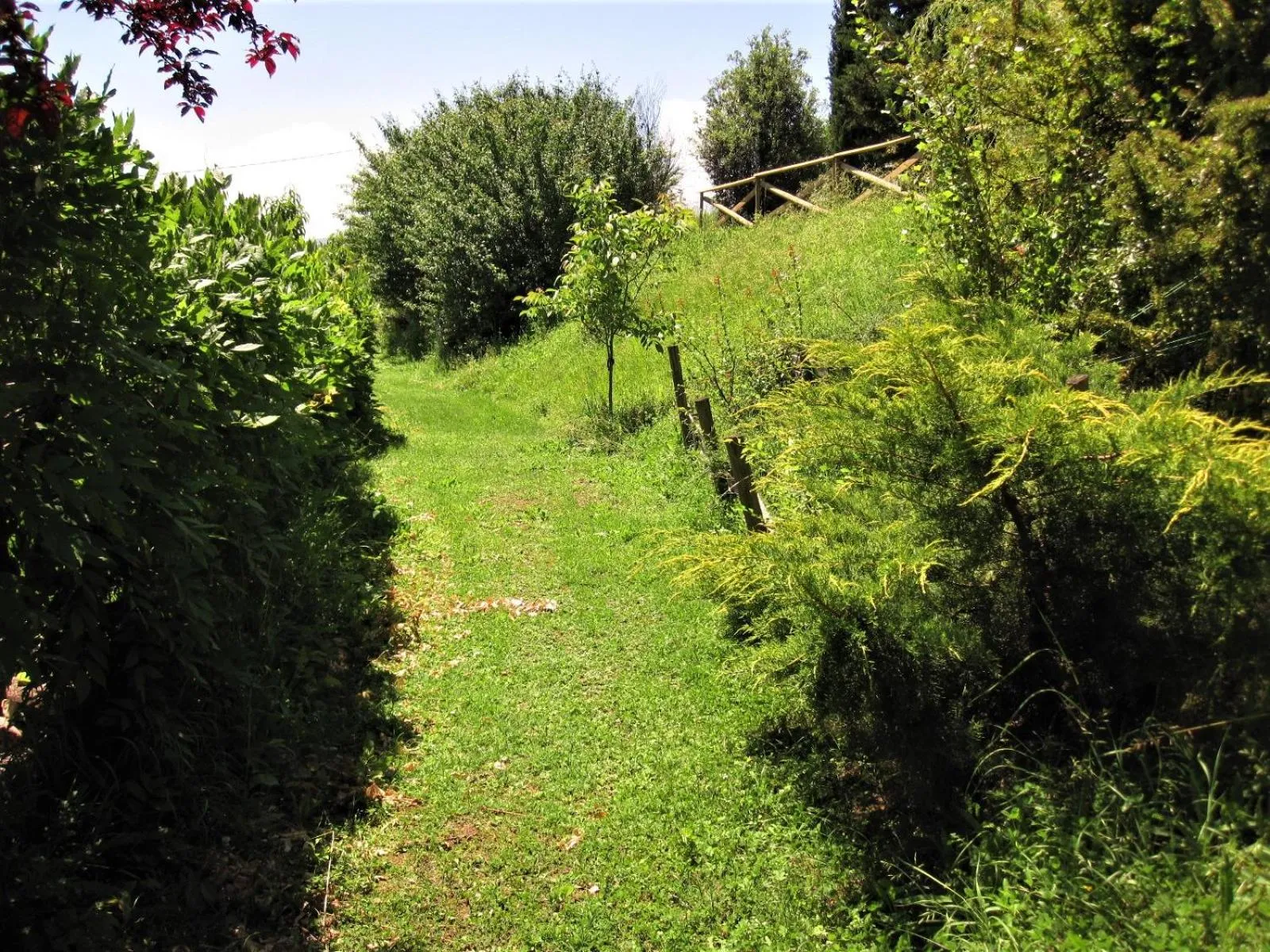 La Pietra Rara B&B