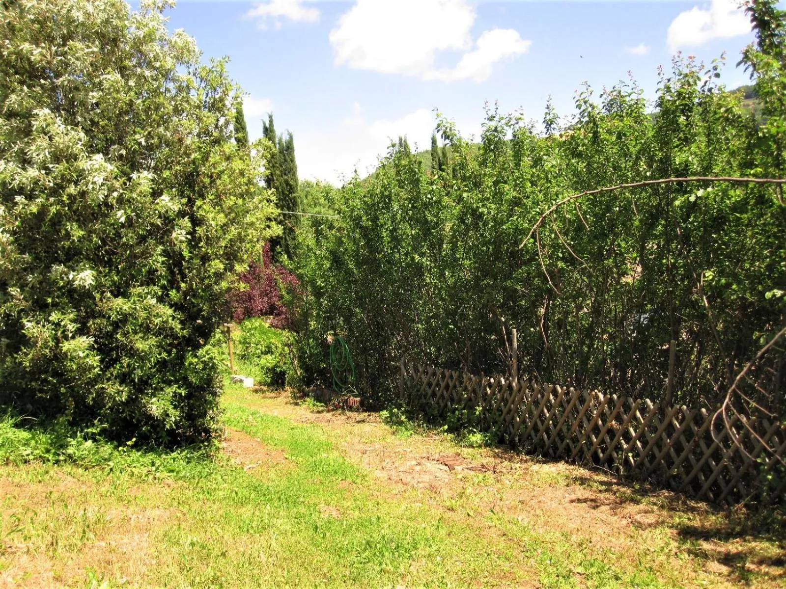 Garden in La Pietra Rara B&B