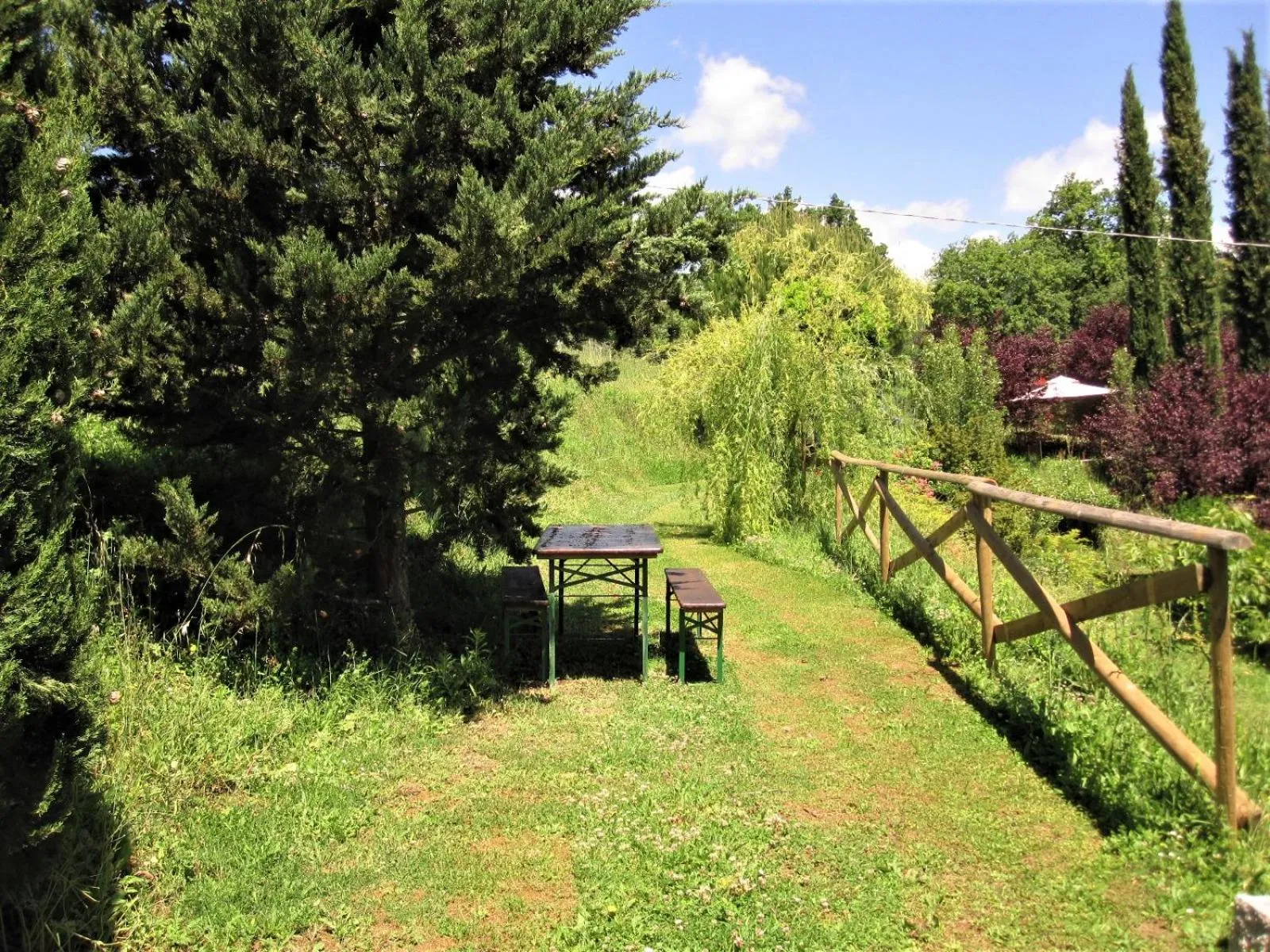 Garden in La Pietra Rara B&B