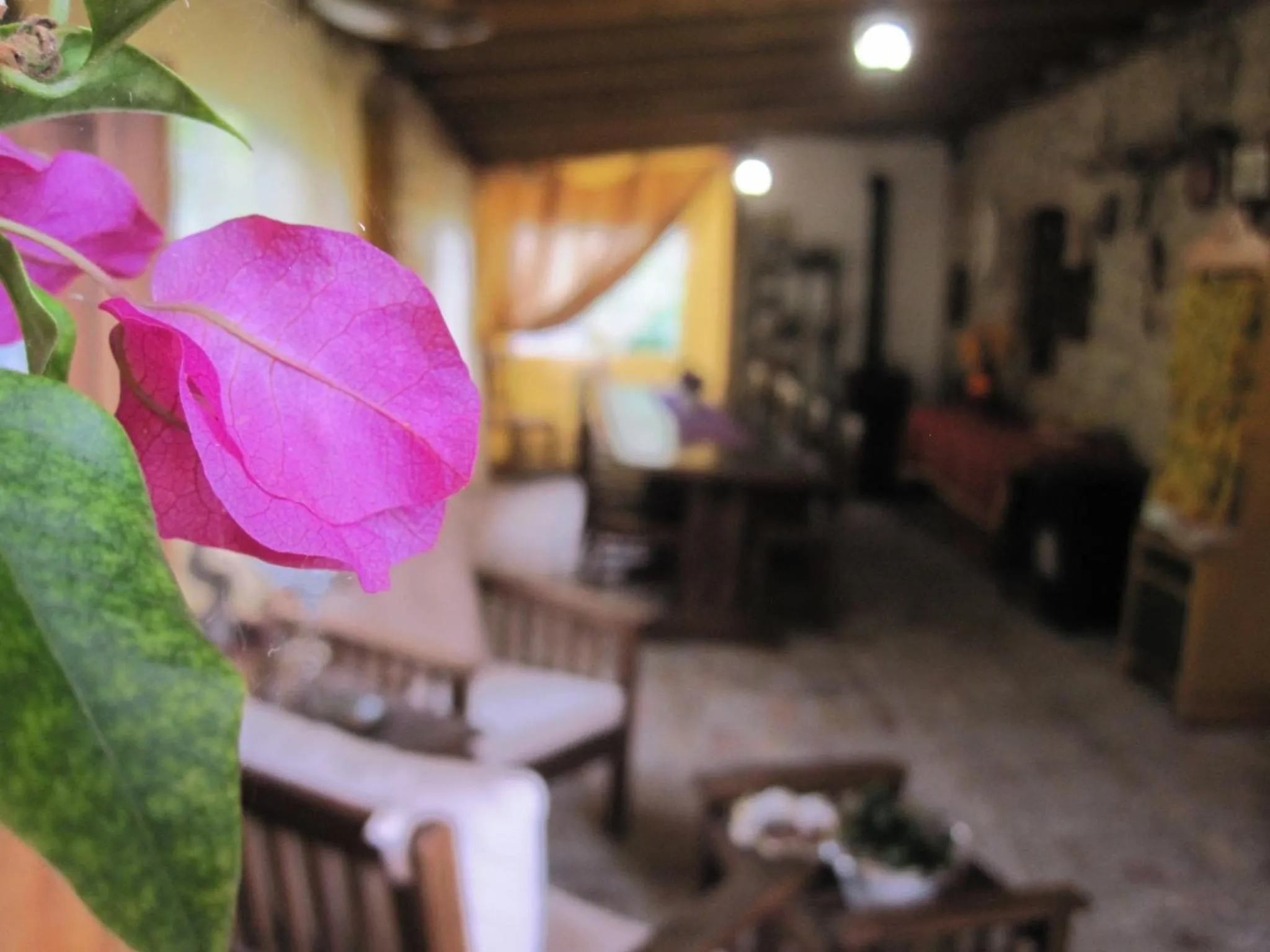 Breakfast in La Pietra Rara B&B