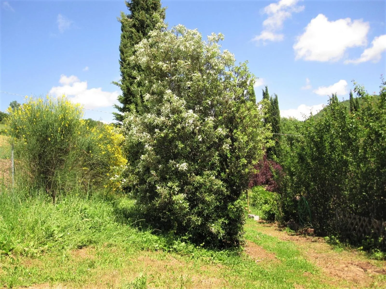 La Pietra Rara B&B
