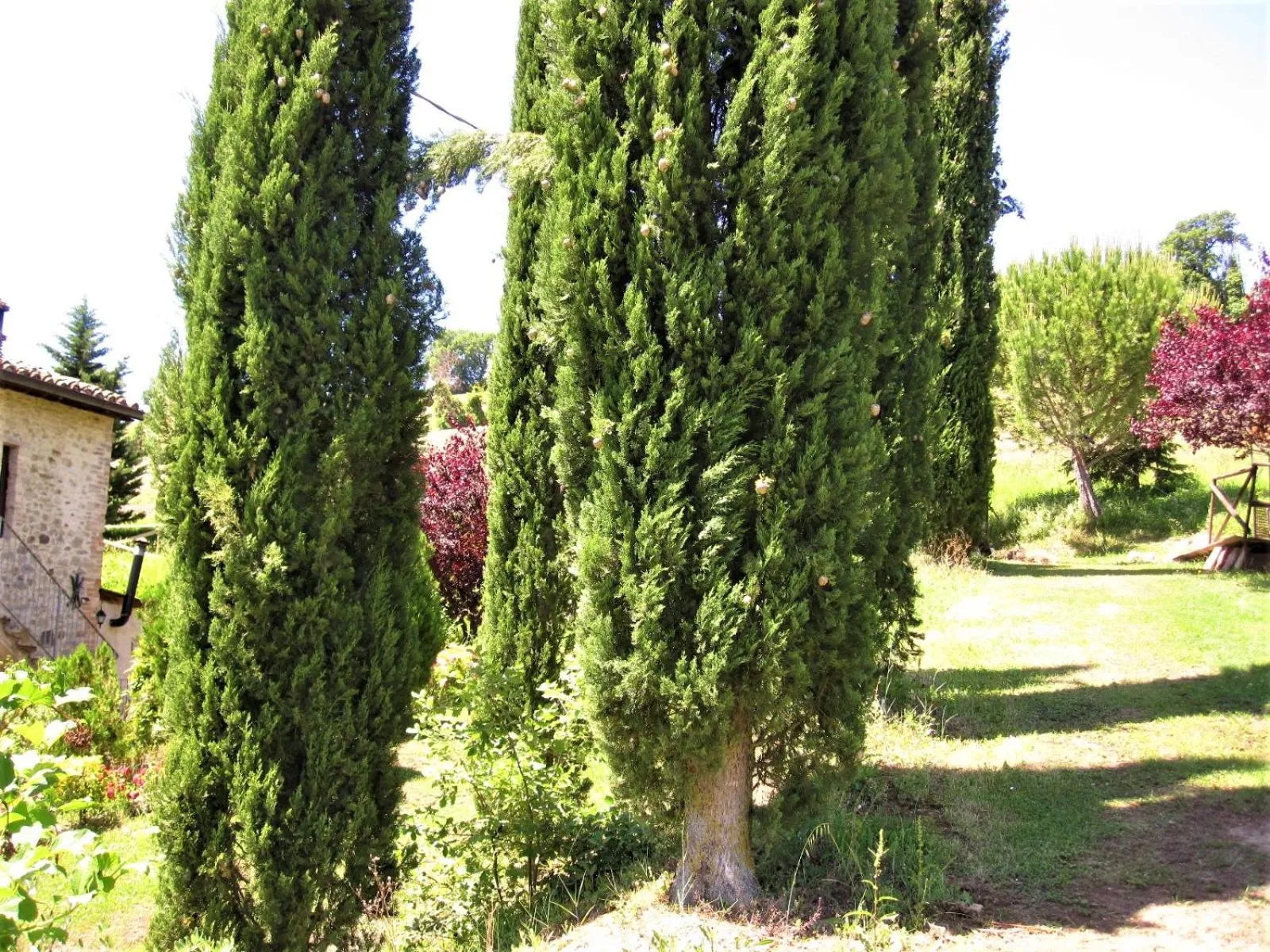 La Pietra Rara B&B