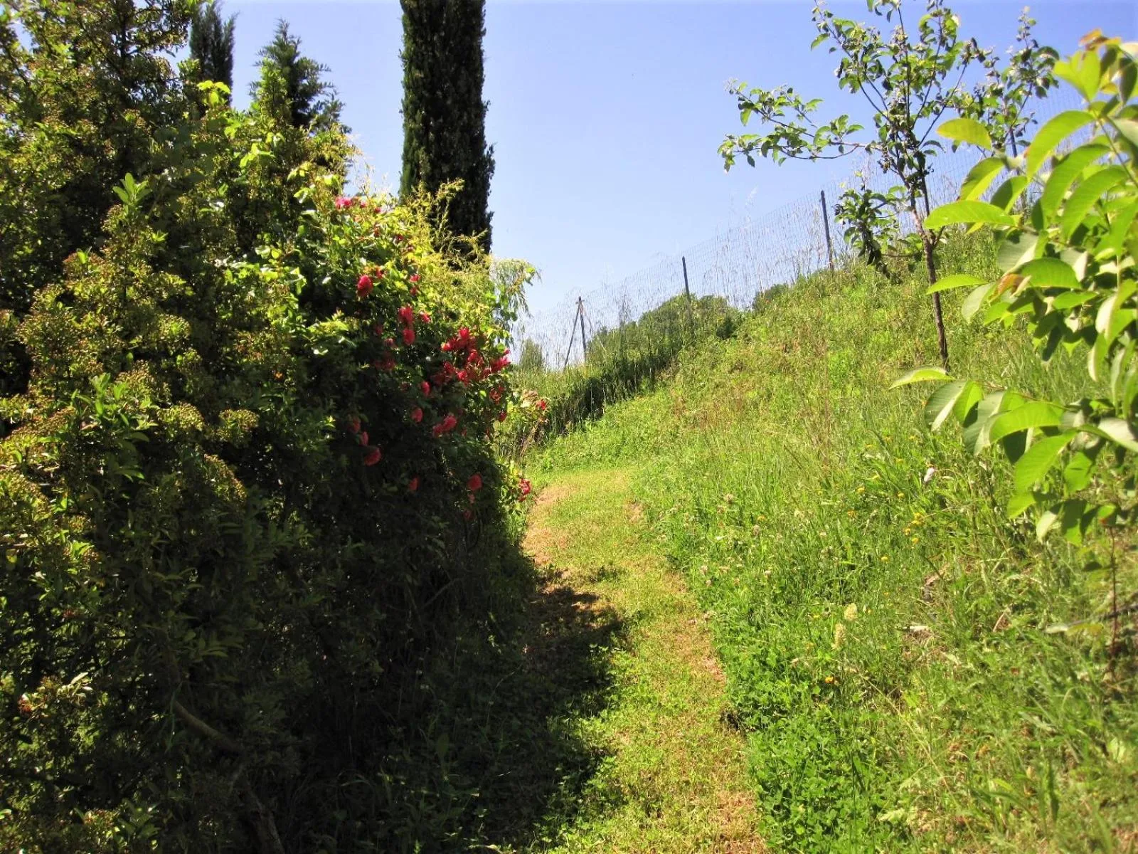 La Pietra Rara B&B