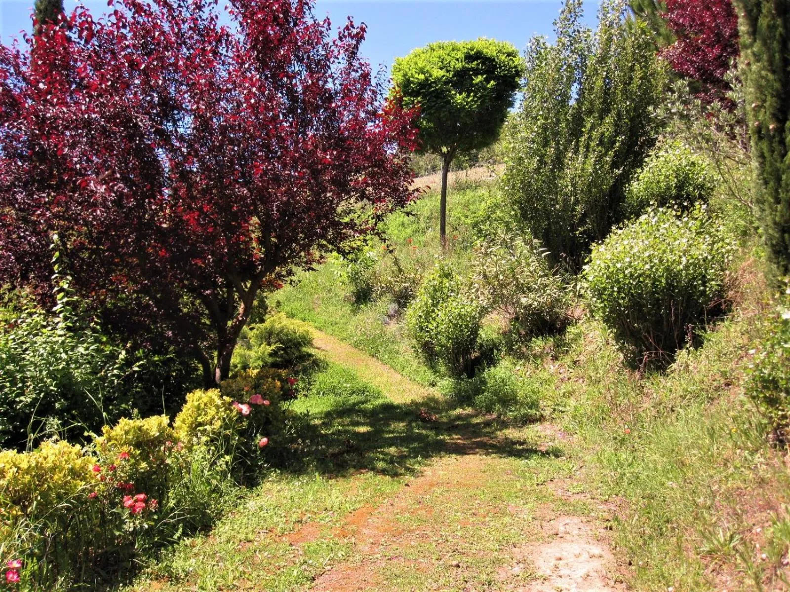 La Pietra Rara B&B
