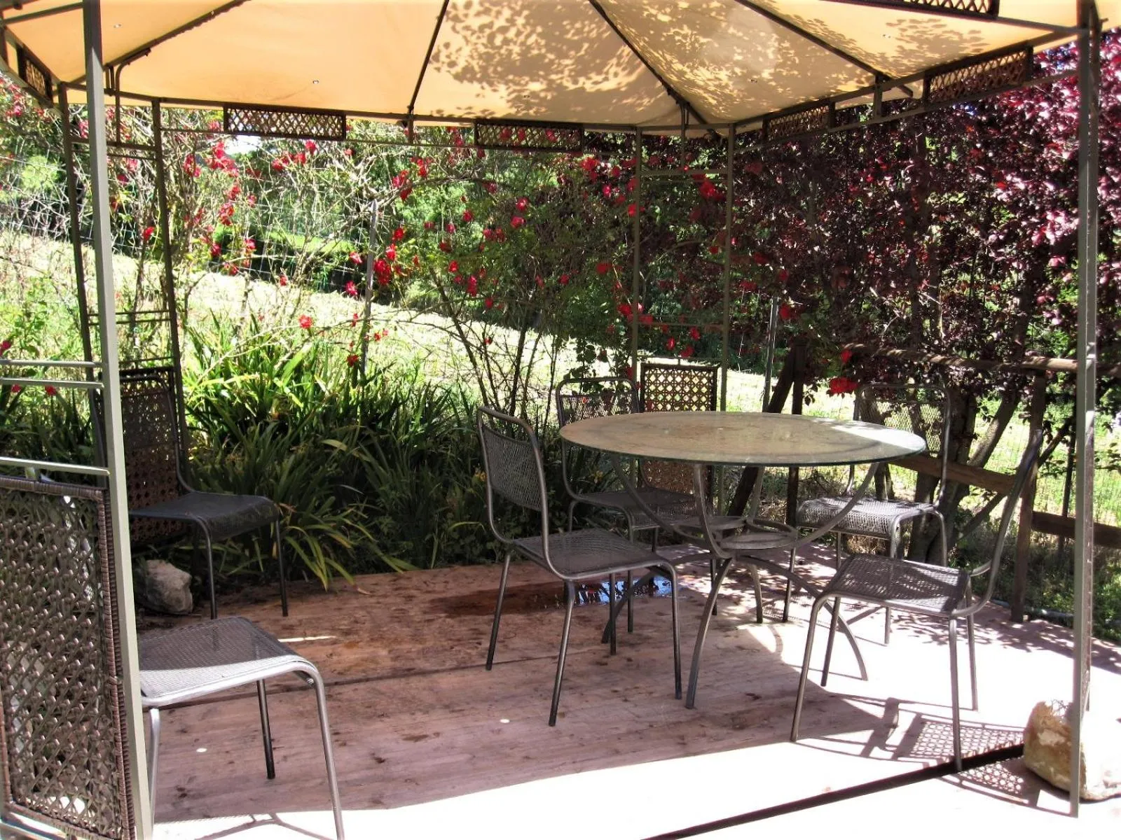 Garden in La Pietra Rara B&B