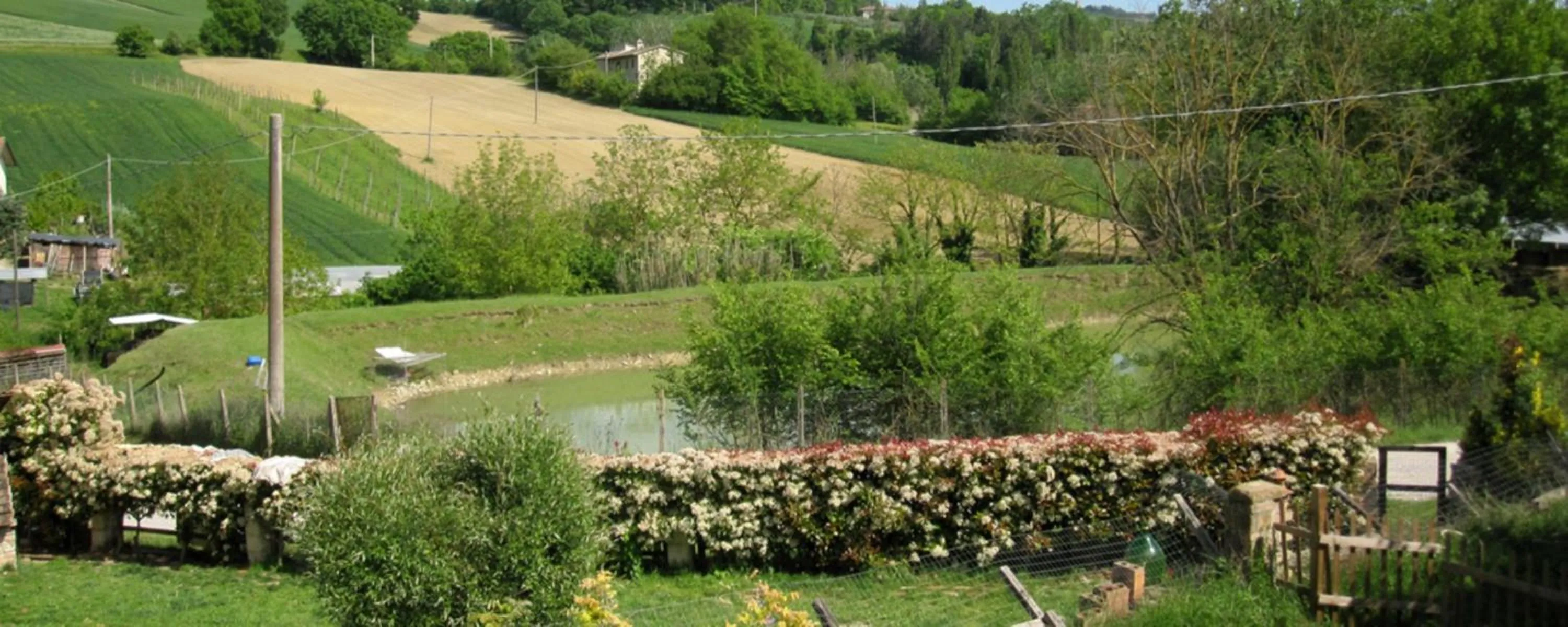 Winter in La Pietra Rara B&B