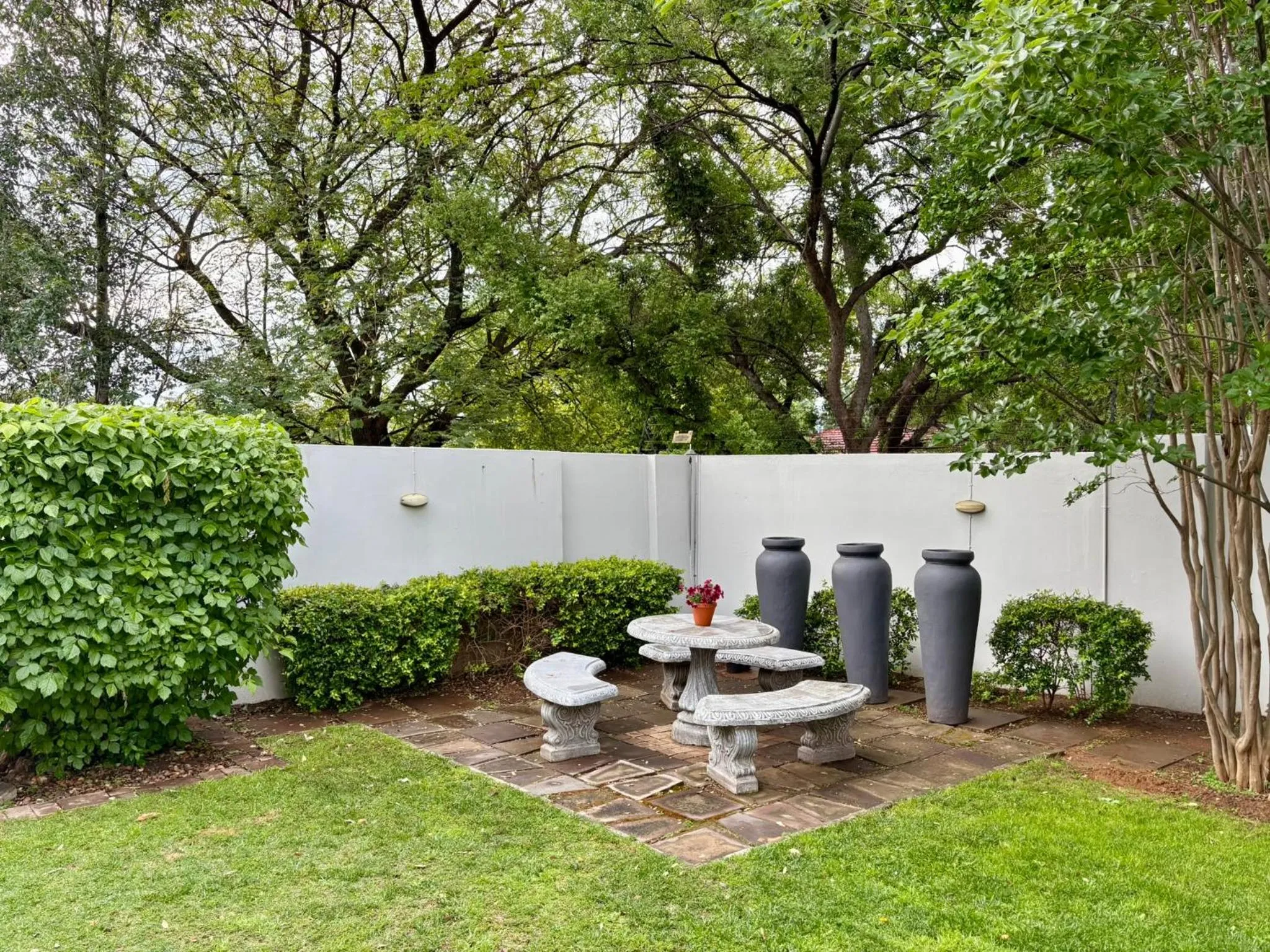 Garden view in The Suburban Guest House