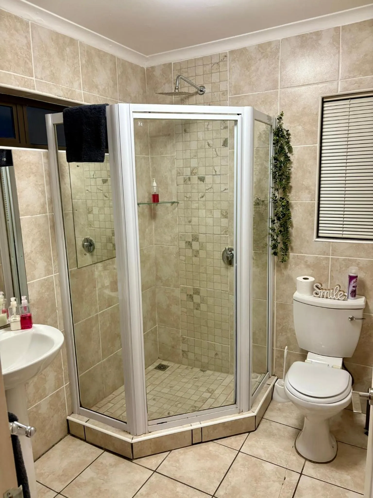 Shower in The Suburban Guest House
