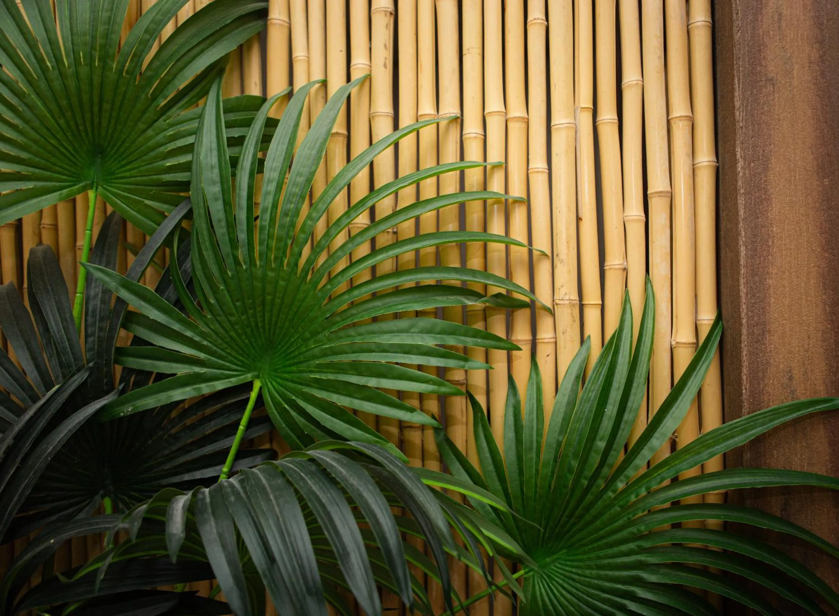 Hideaway Suites On 5th-Formally 5th East Hall