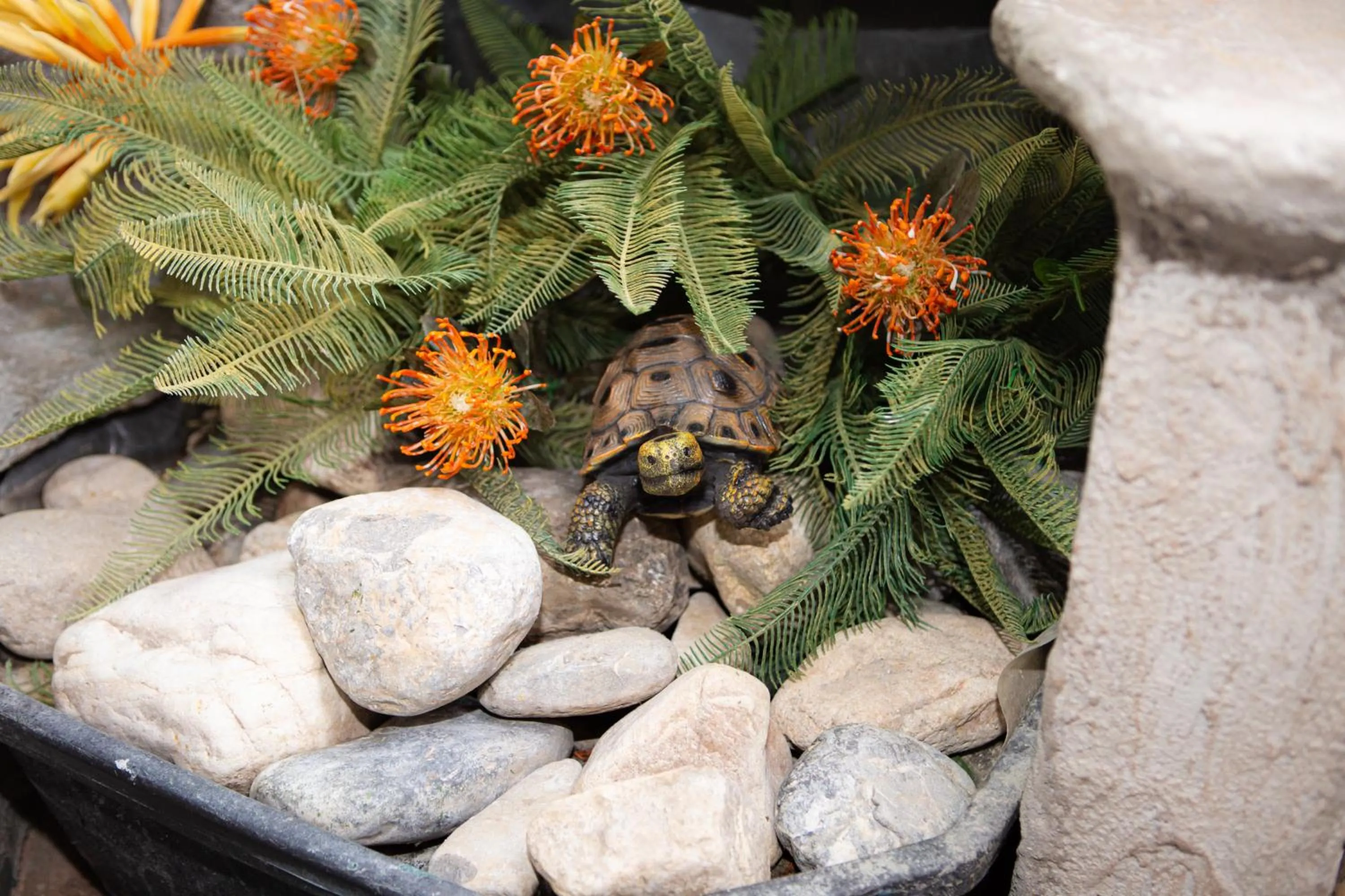 Hideaway Suites On 5th-Formally 5th East Hall