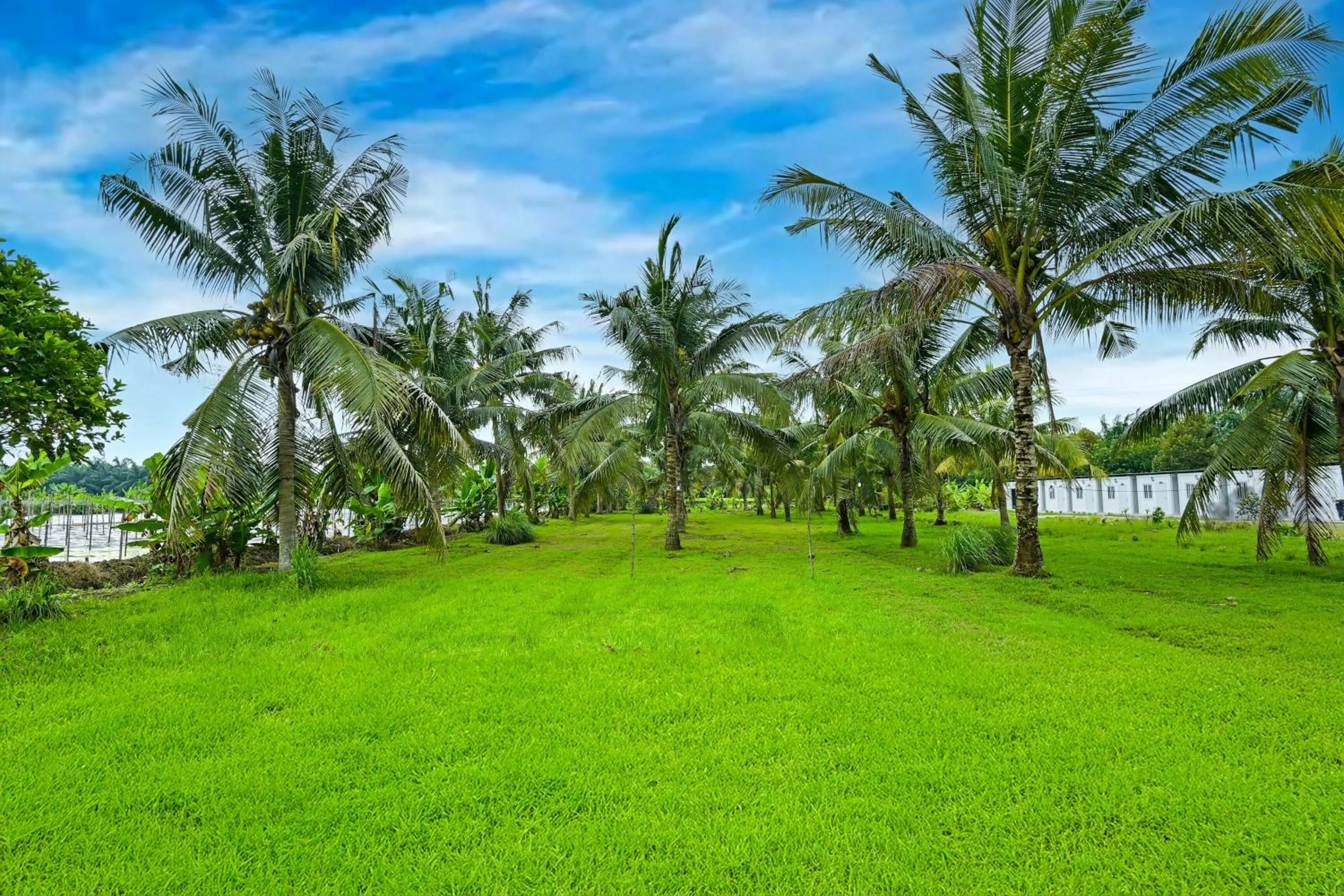 Other in Hotel O Asiacamp Chalet Tanjung Karang