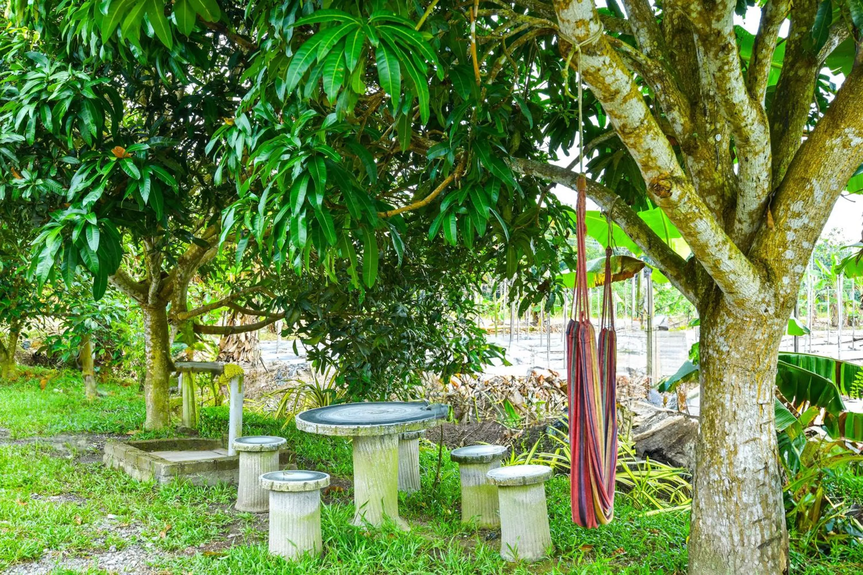 Other in Hotel O Asiacamp Chalet Tanjung Karang