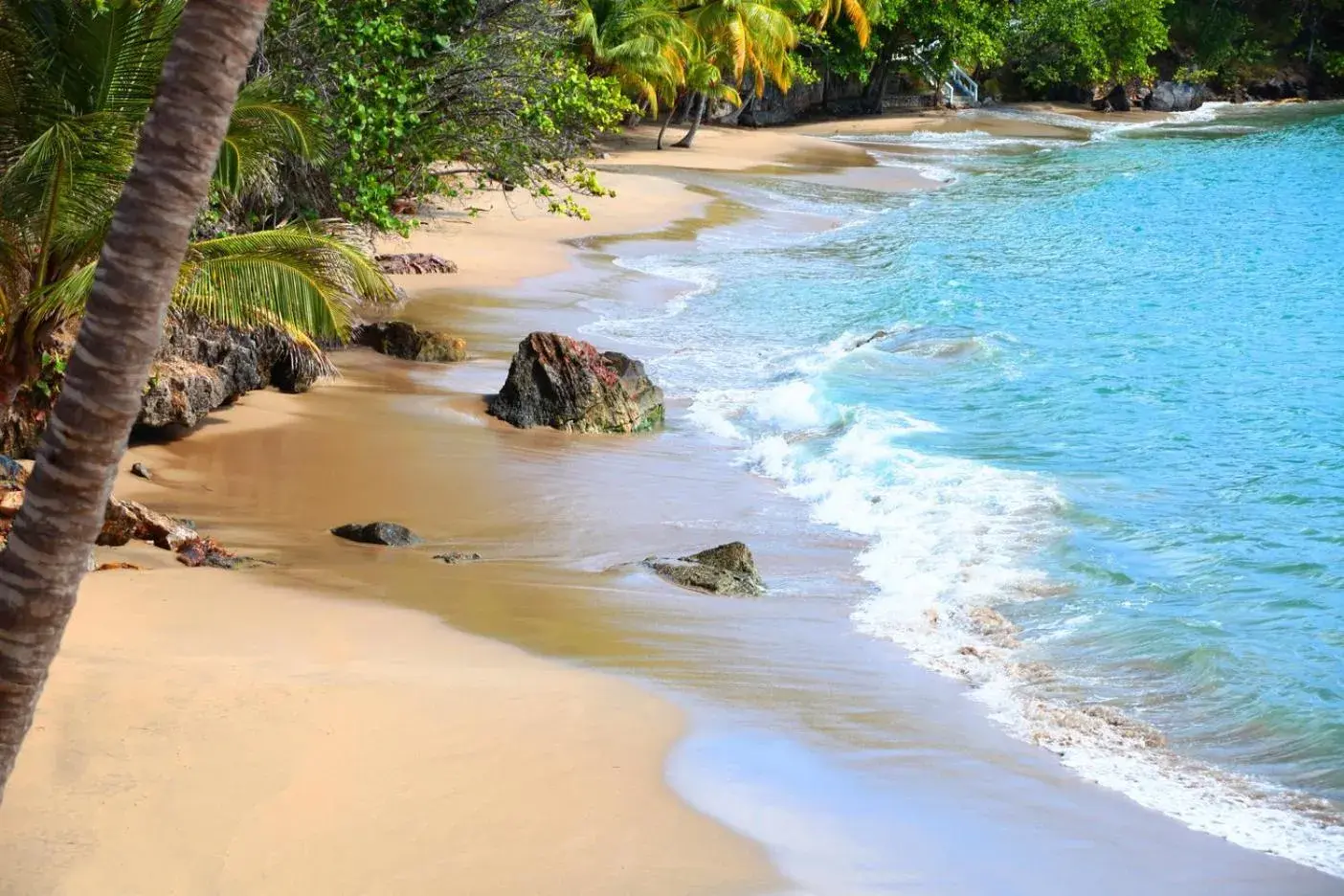 Nearby landmark in Bahia Principe Grand Samana - Adults Only Nearby landmark in Bahia Principe Grand Samana - Adults Only