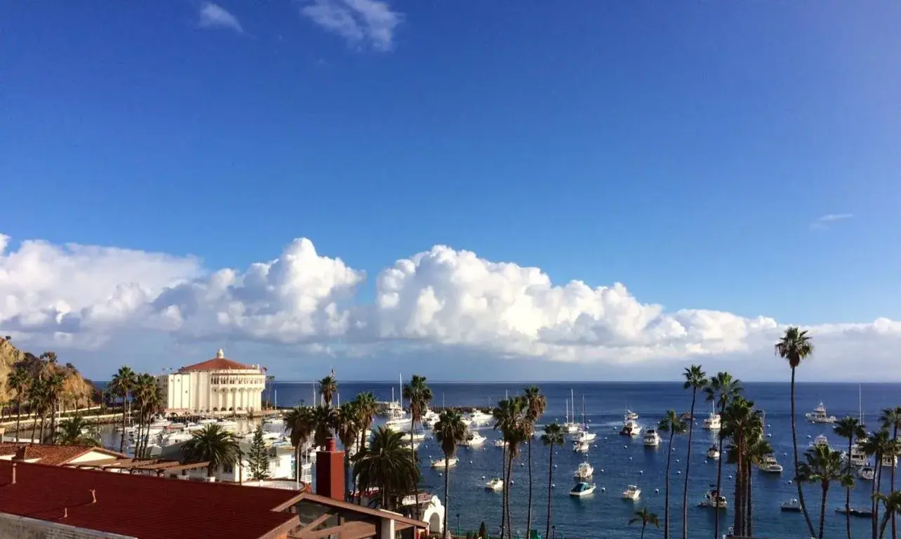 Nearby landmark in The Avalon Hotel in Catalina Island