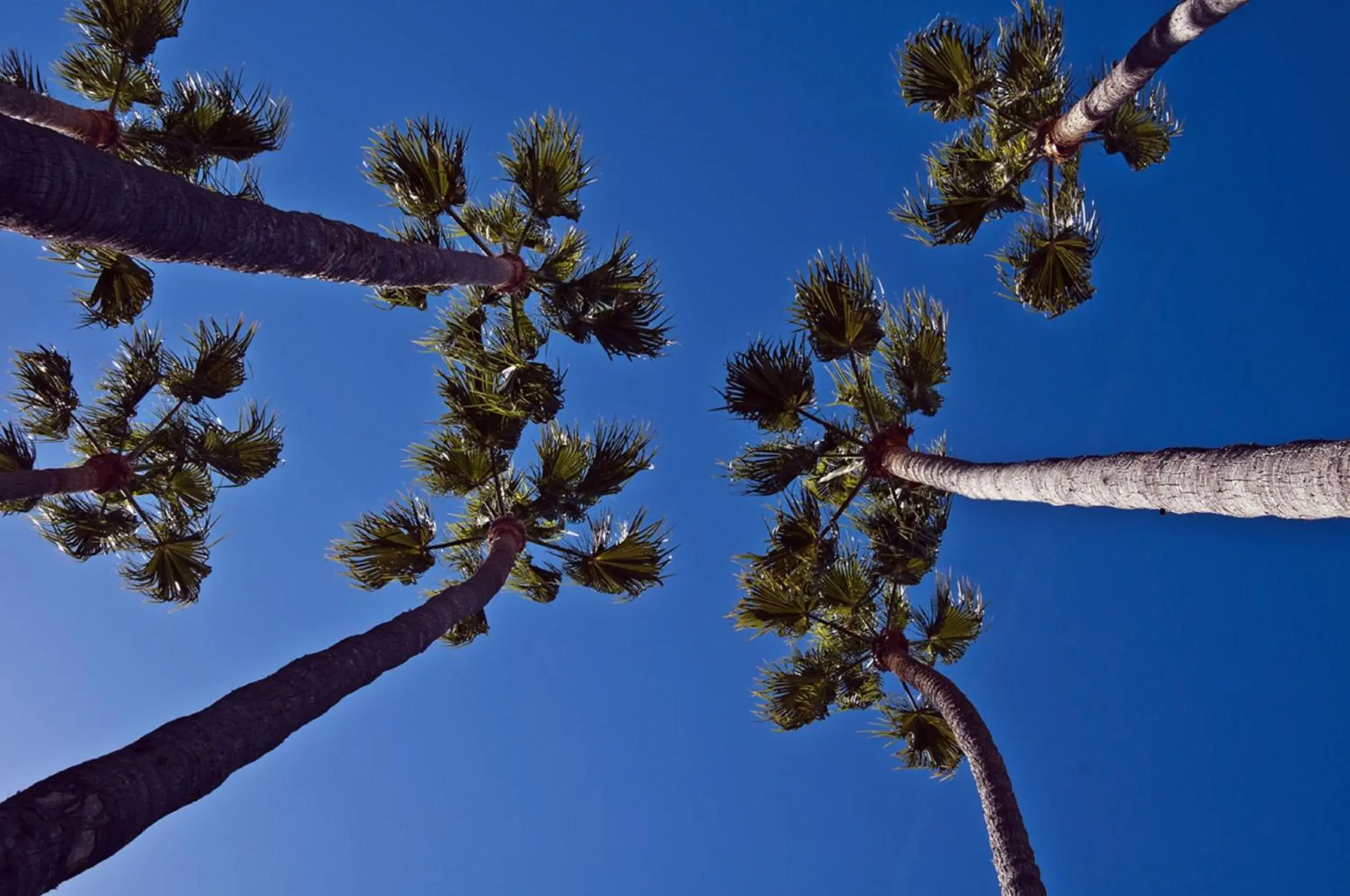 Other, Winter in The Avalon Hotel in Catalina Island