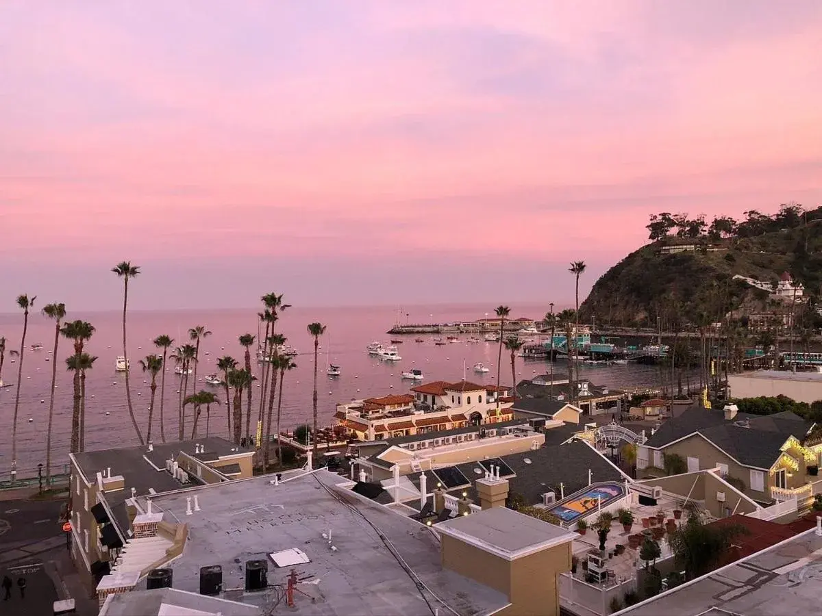 Beach in The Avalon Hotel in Catalina Island