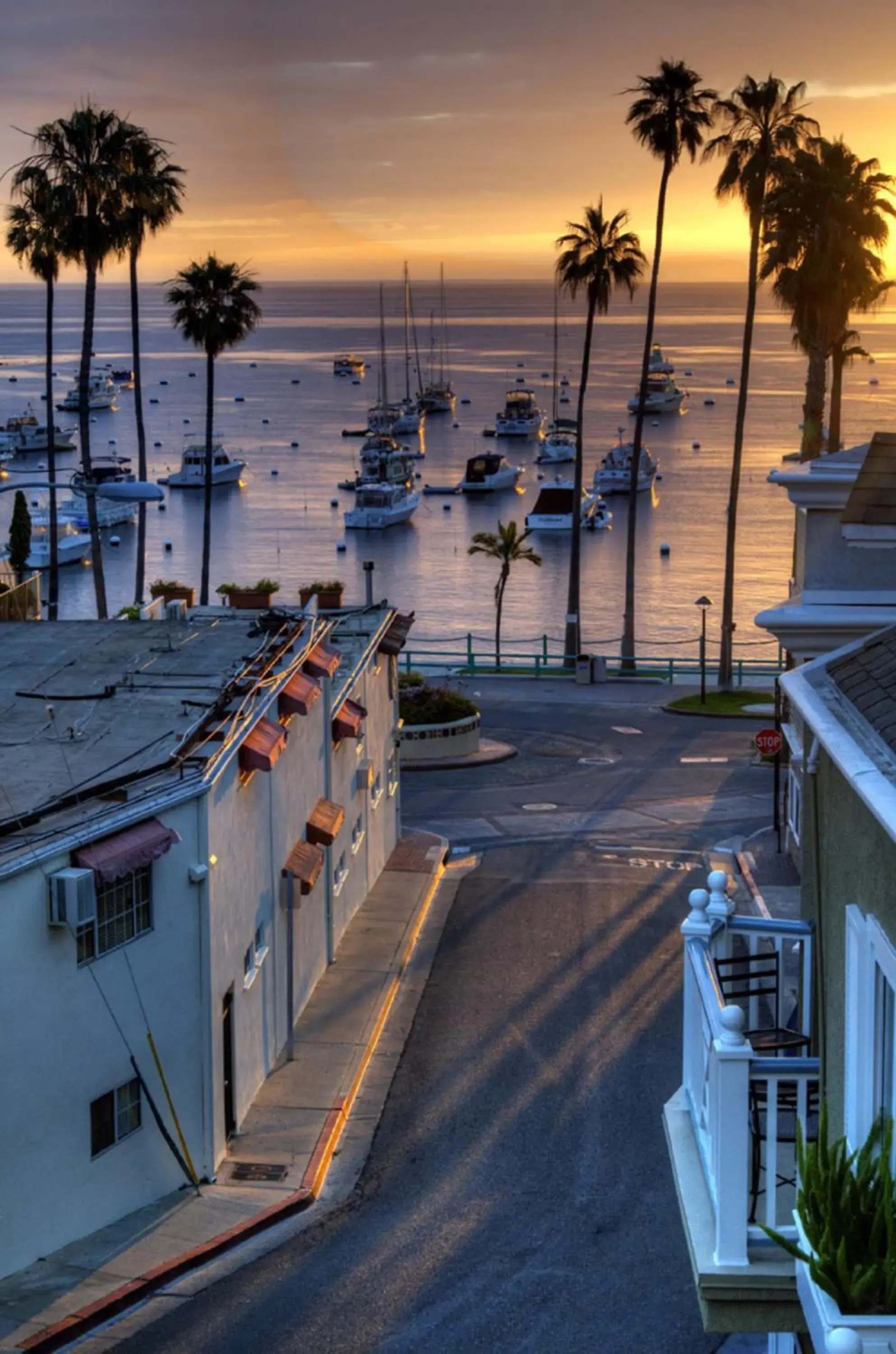 View (from property/room) in The Avalon Hotel in Catalina Island