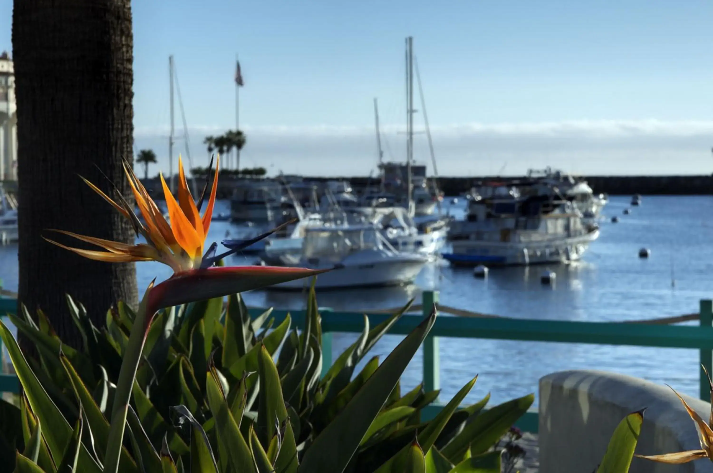 Decorative detail in The Avalon Hotel in Catalina Island