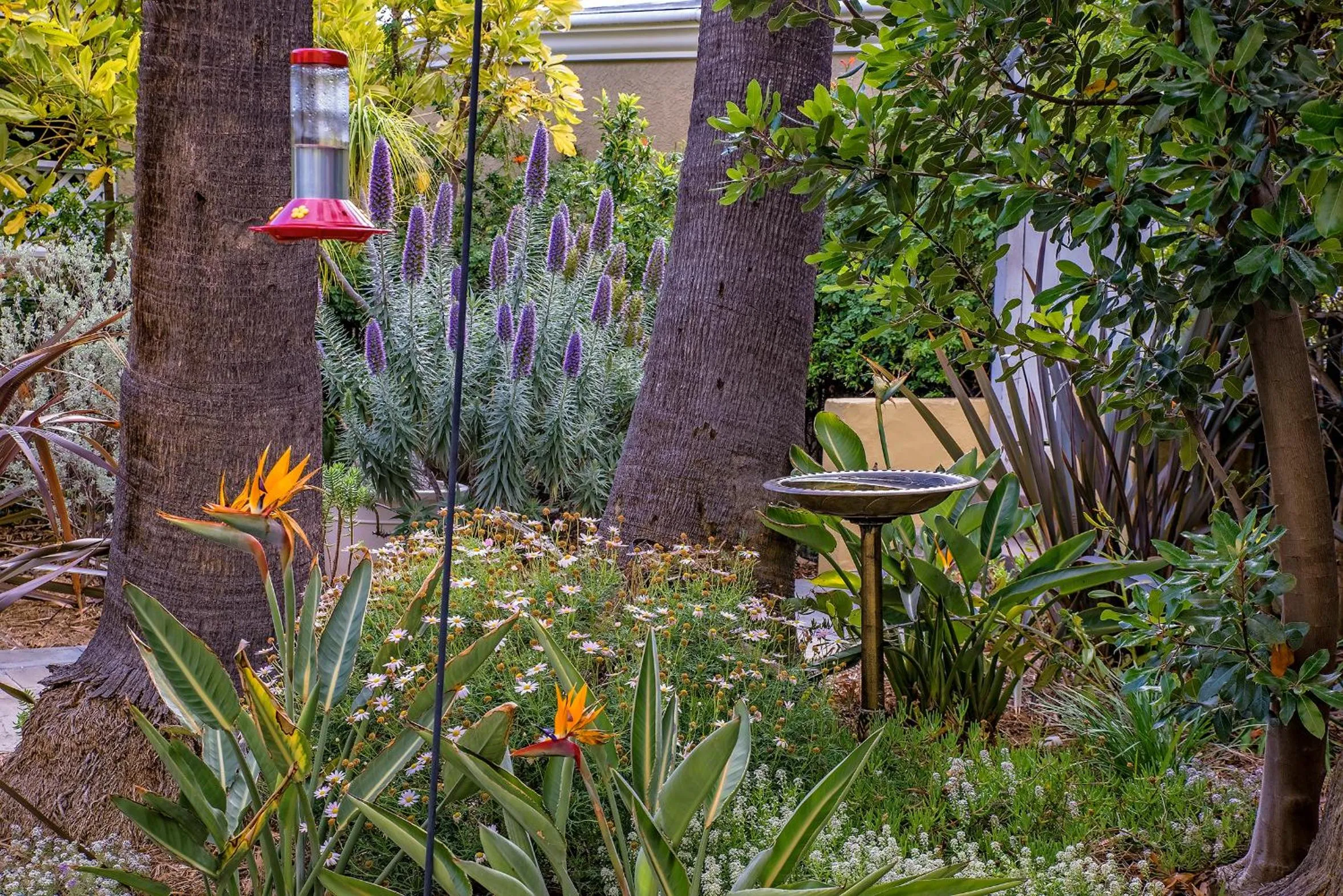 Patio in The Avalon Hotel in Catalina Island