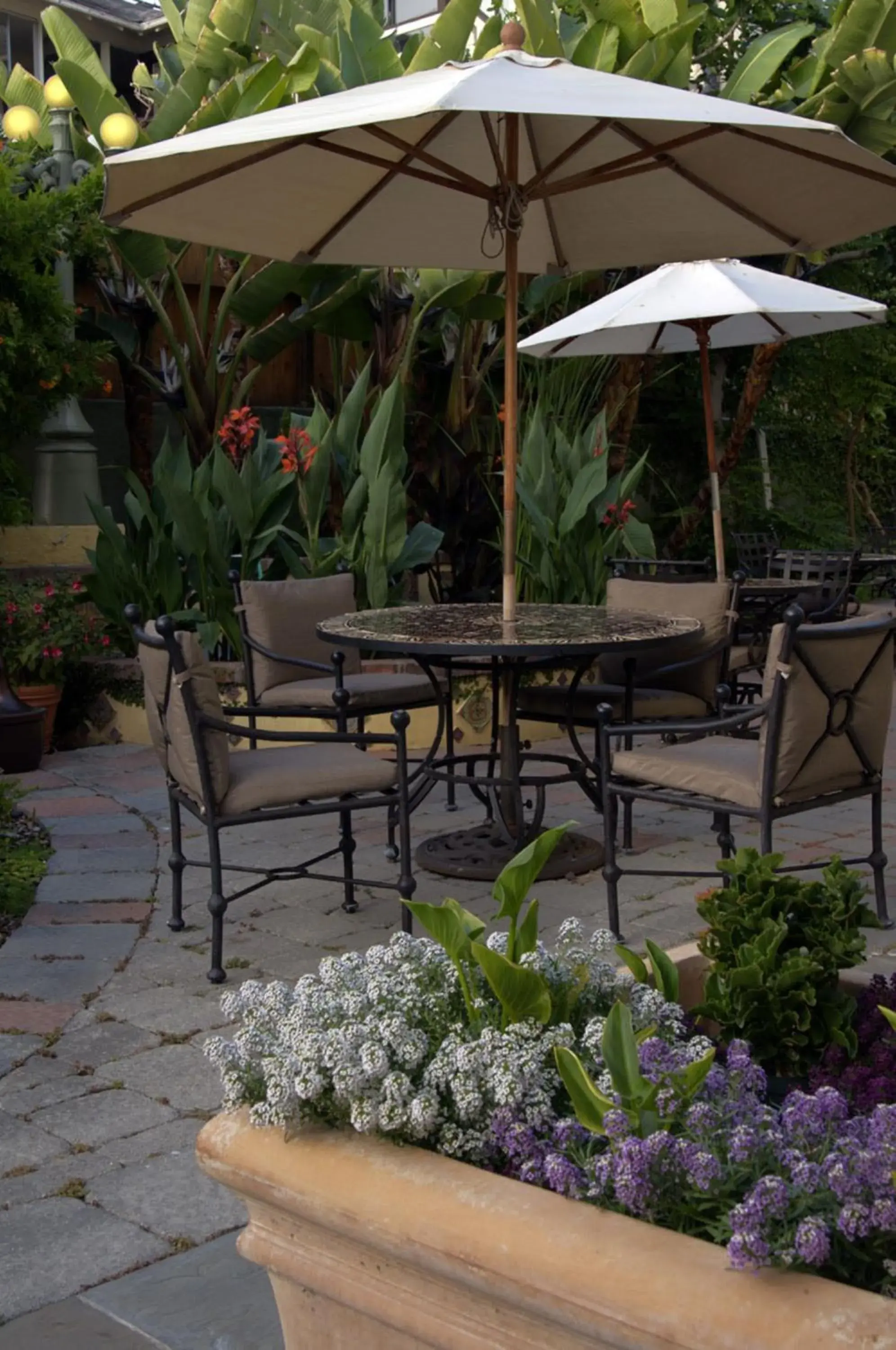 Patio in The Avalon Hotel in Catalina Island