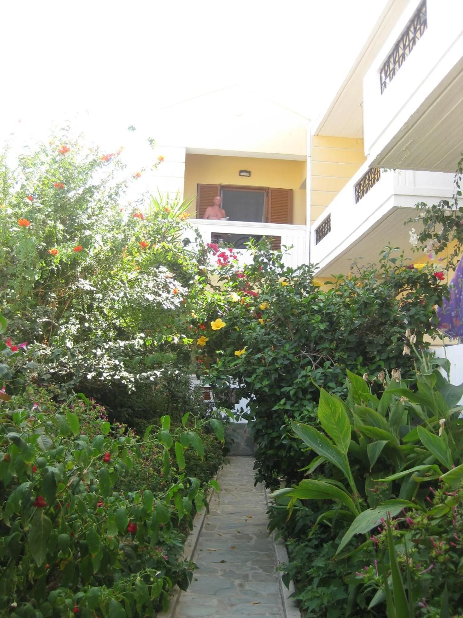Garden in Anniko