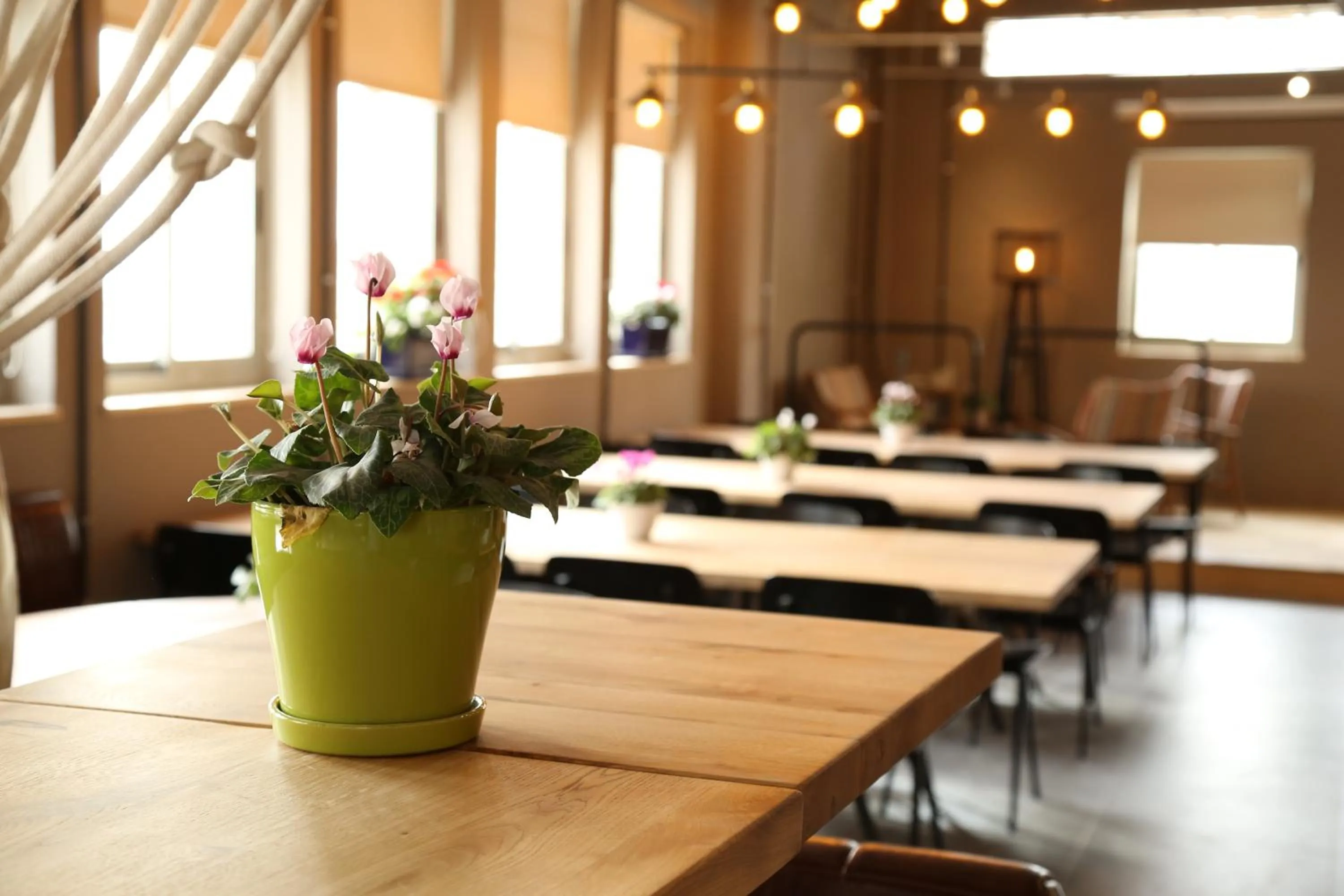 Restaurant/places to eat in The Post Hostel Jerusalem