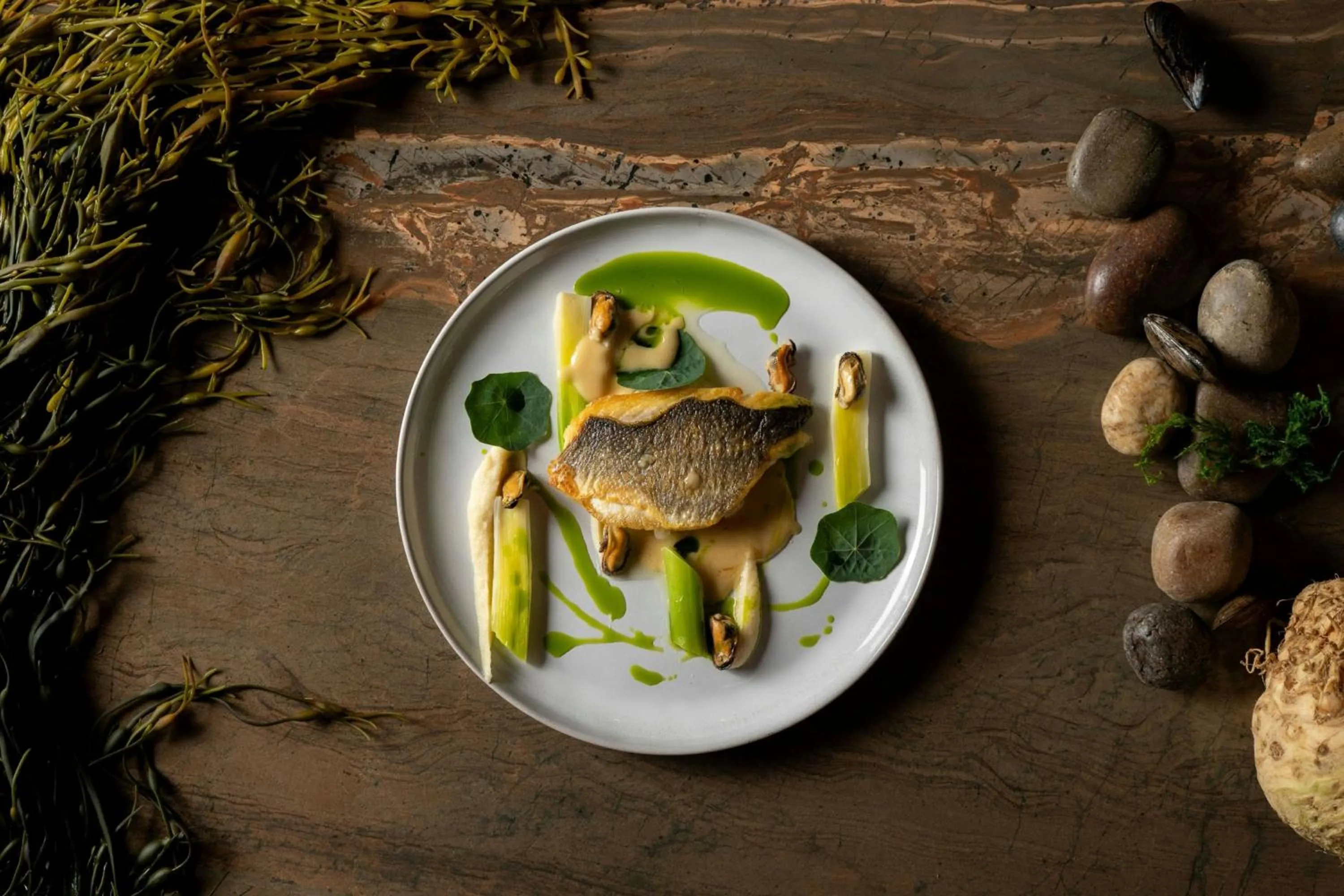 Restaurant/places to eat in JW Marriott Reston Station